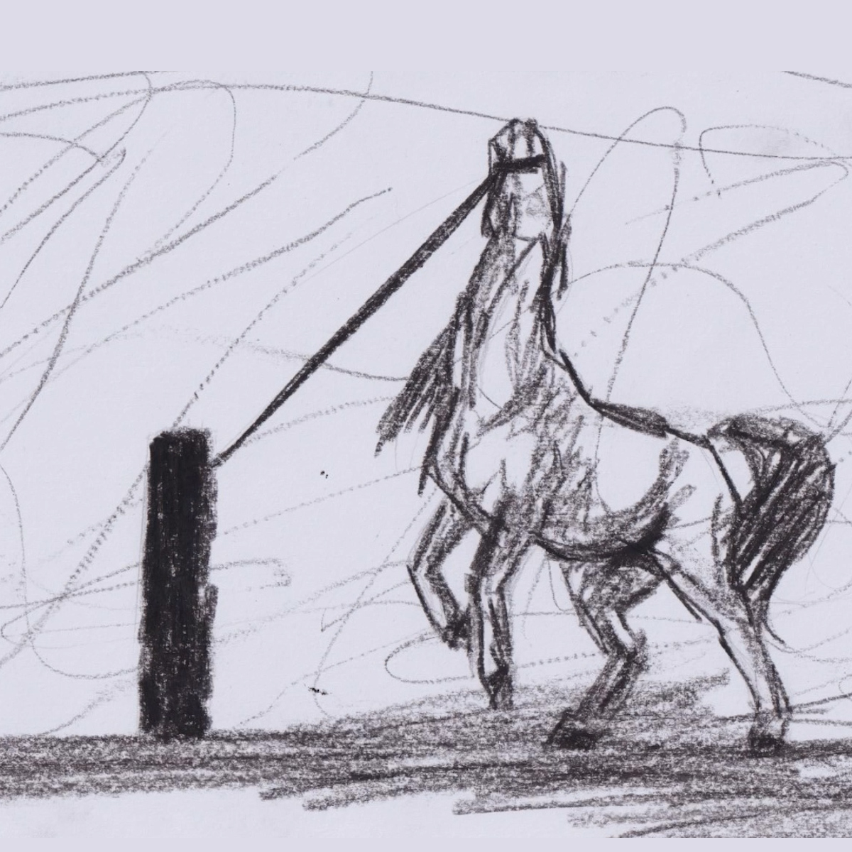 Myra Sethi | Animation