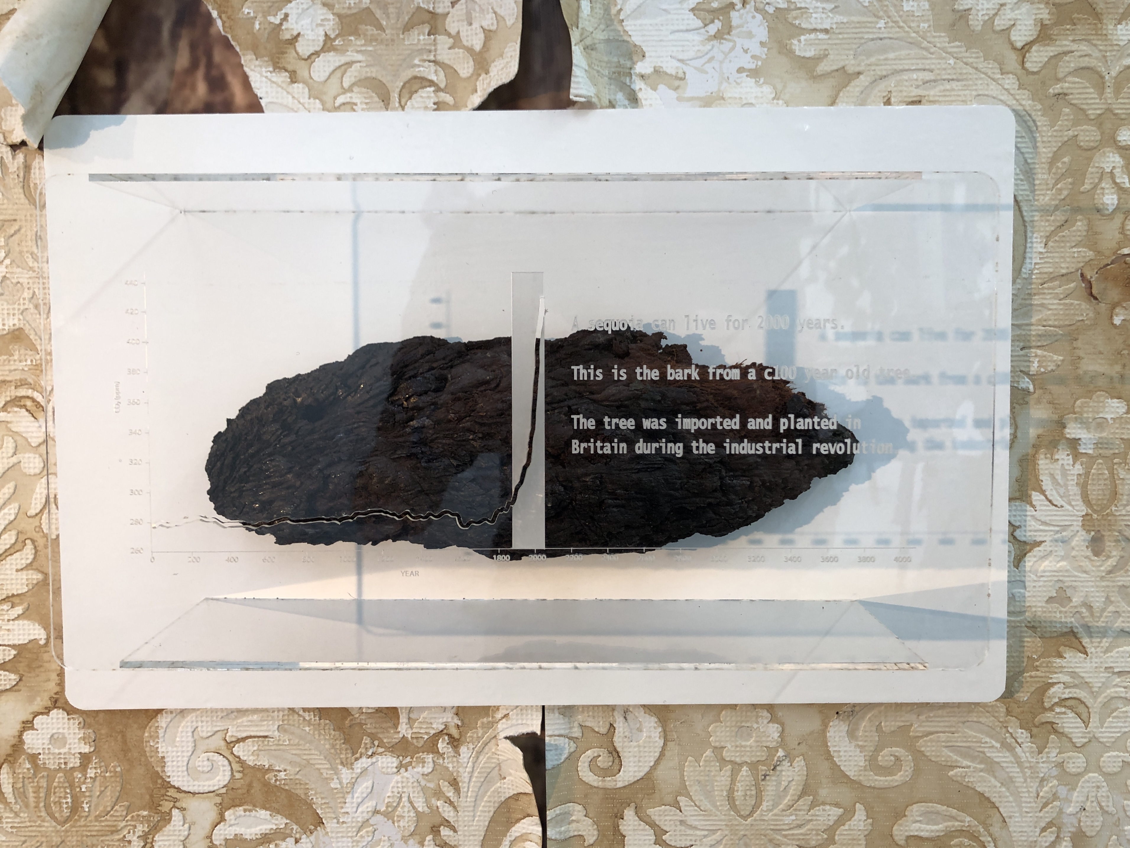 Andrew Mead | Fine Art 3