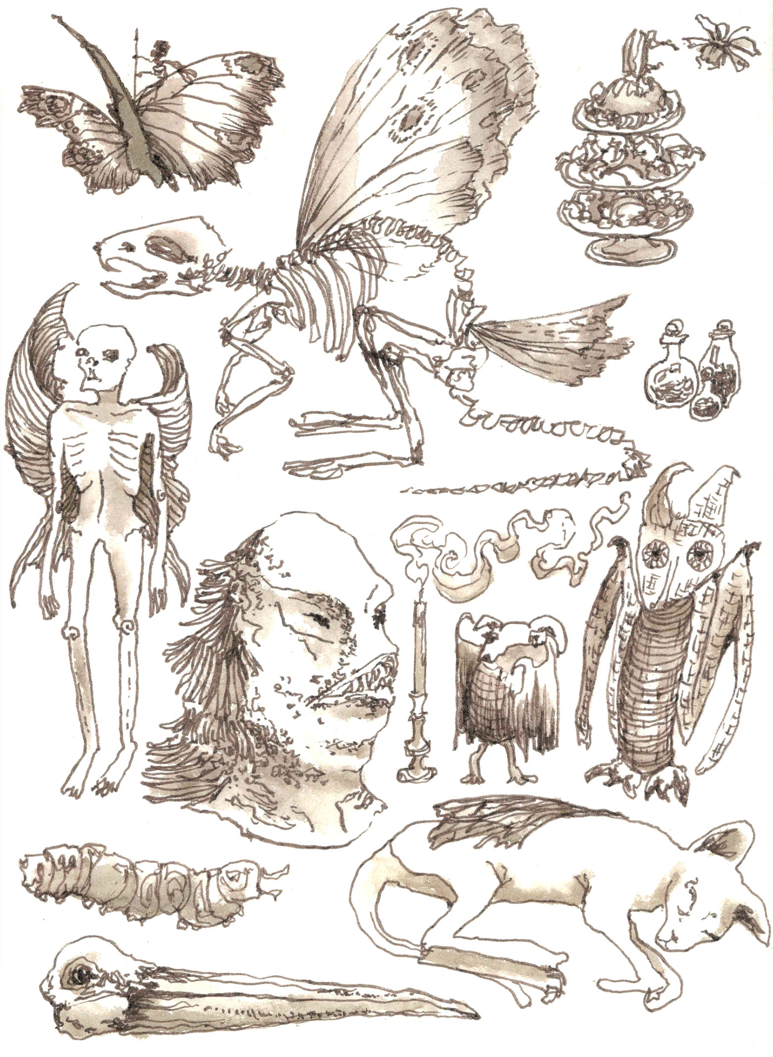 Carmen Noble | Illustration 5
