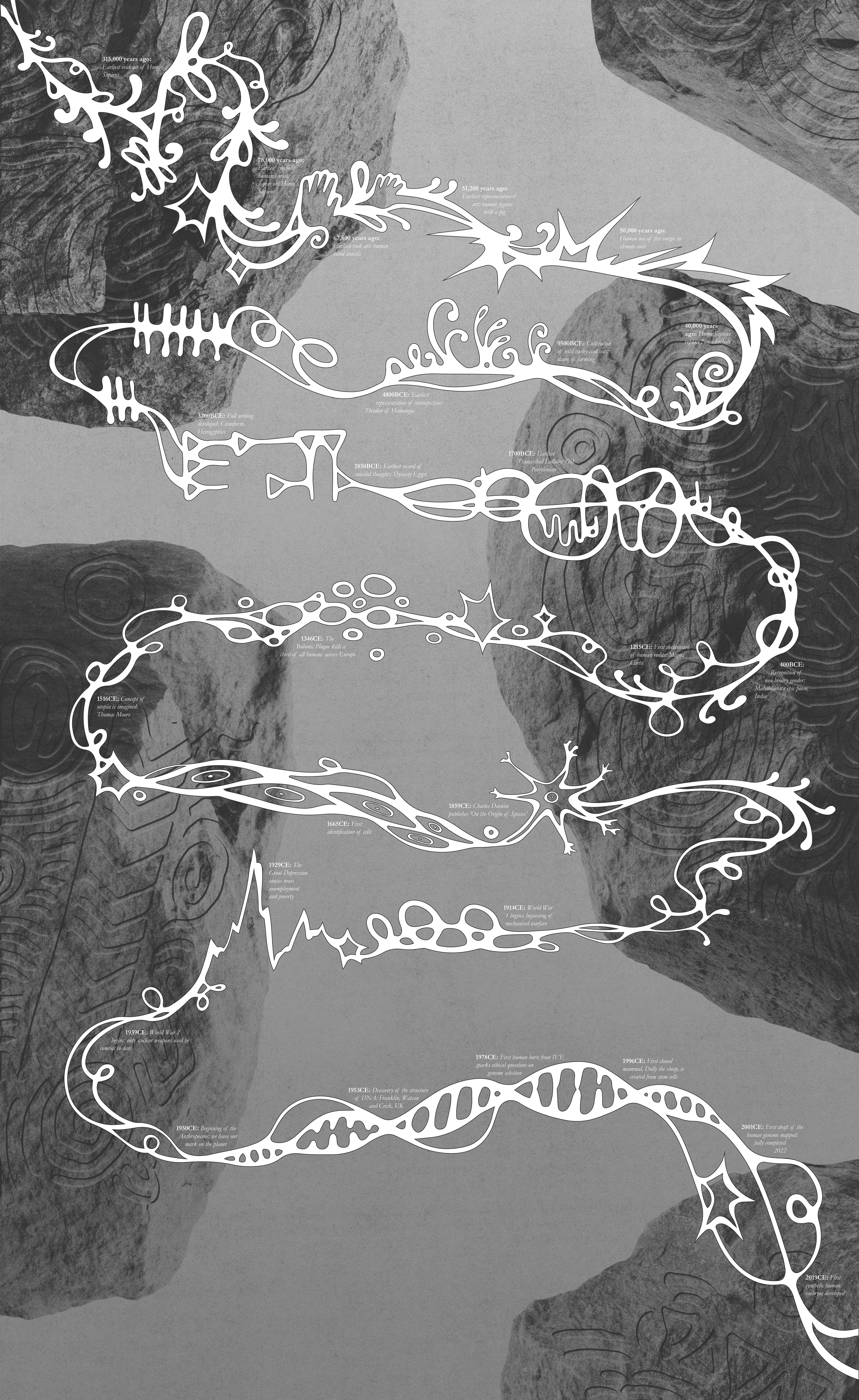 Robin Newbold | Graphic Design 1