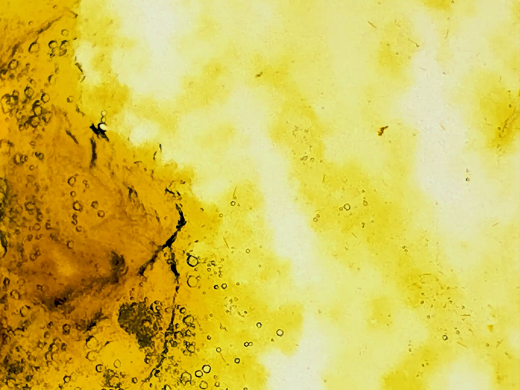 Sandy Eames | Fine Art 4