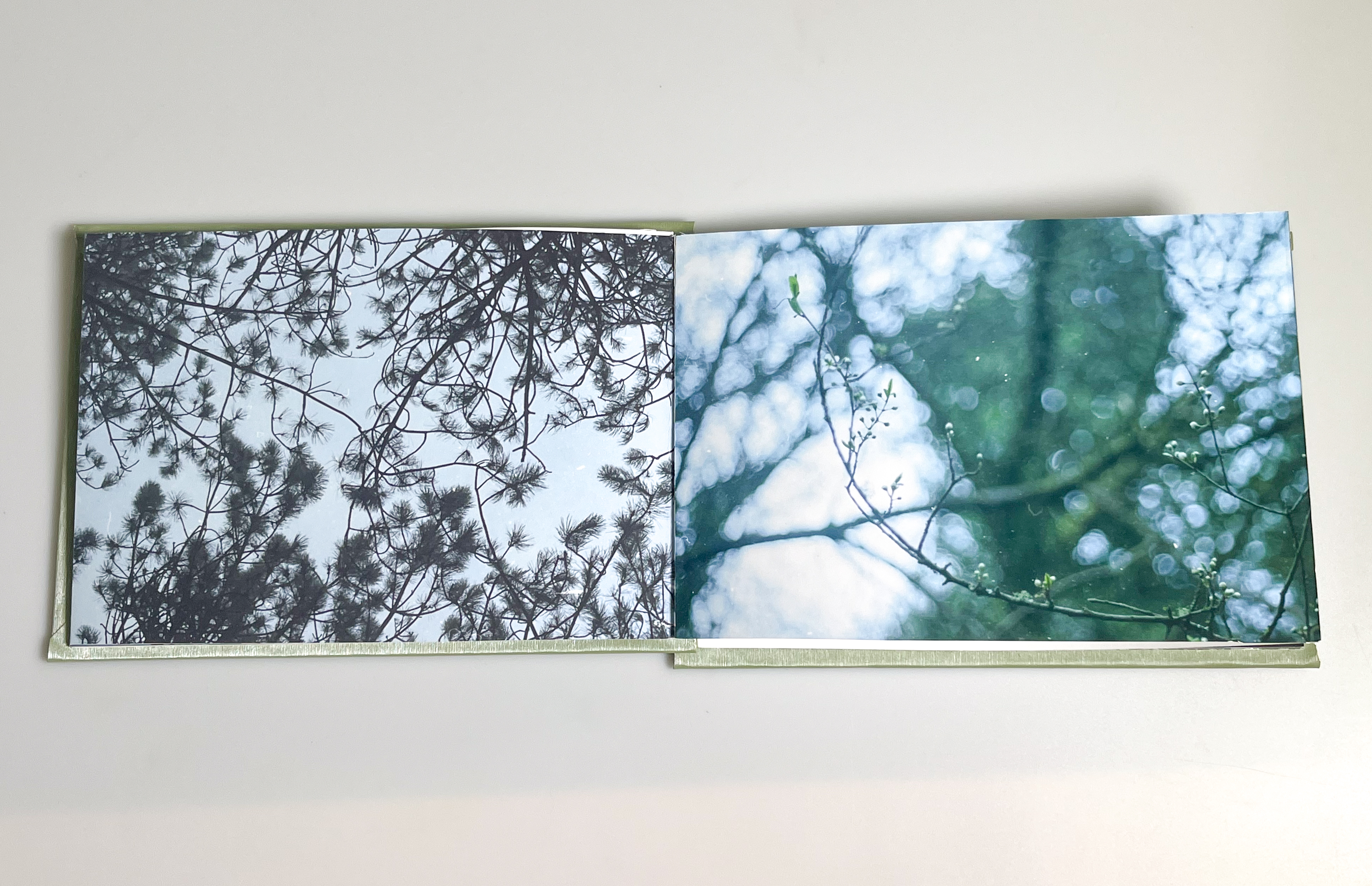 Isabella Dean | Graphic Design 1