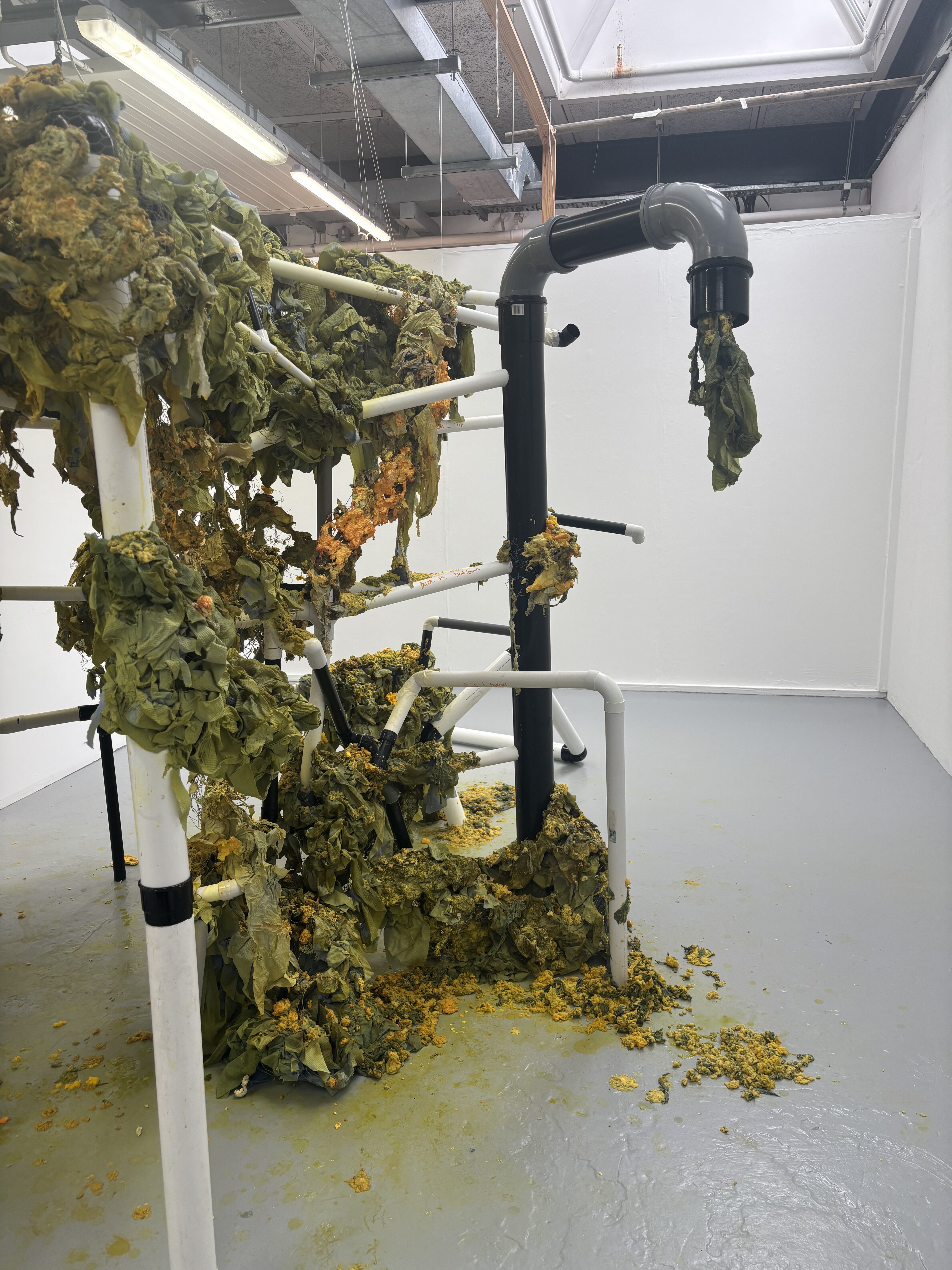 Claudia Oakes-Philpot | Fine Art 2