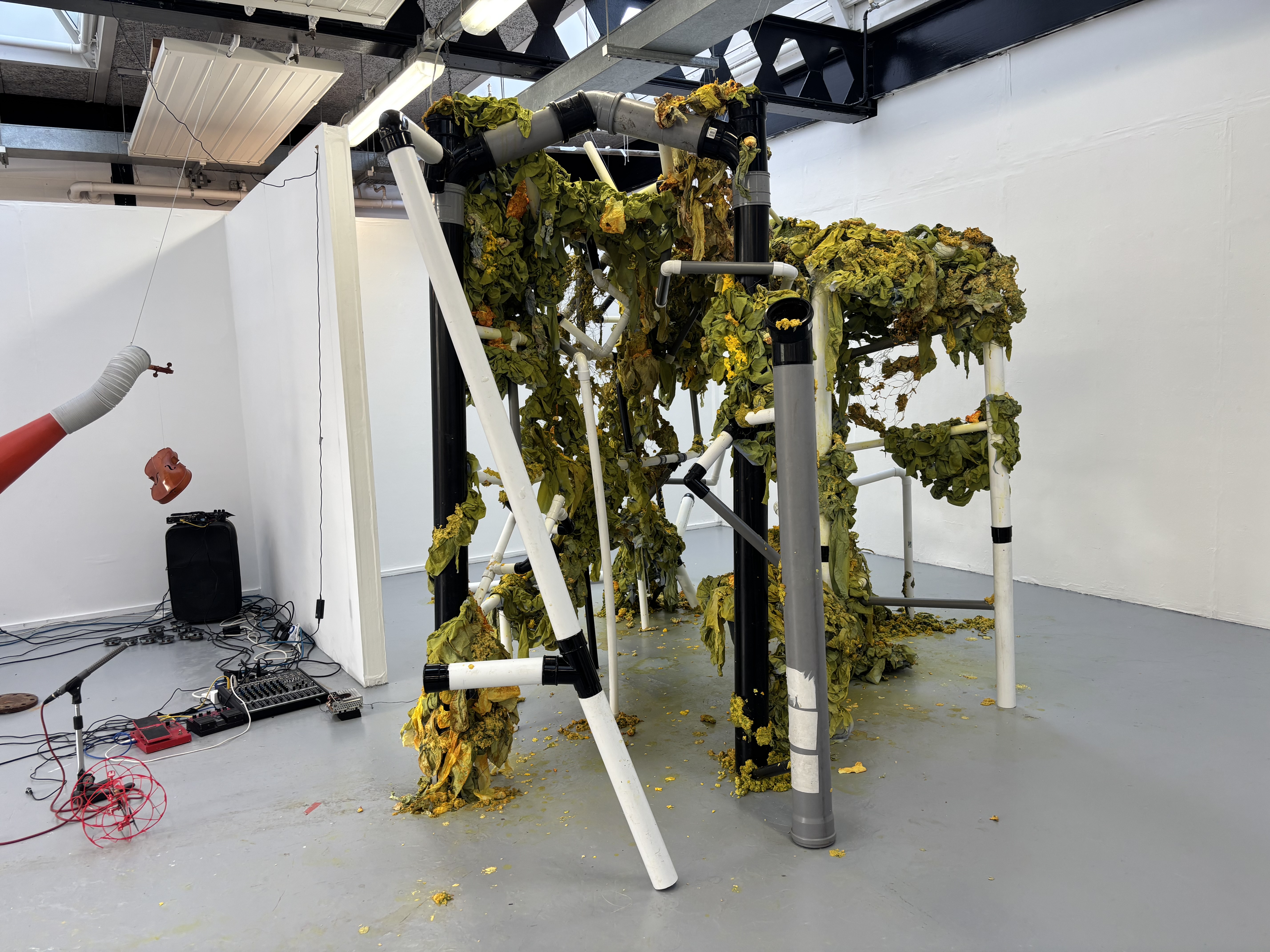 Claudia Oakes-Philpot | Fine Art 5