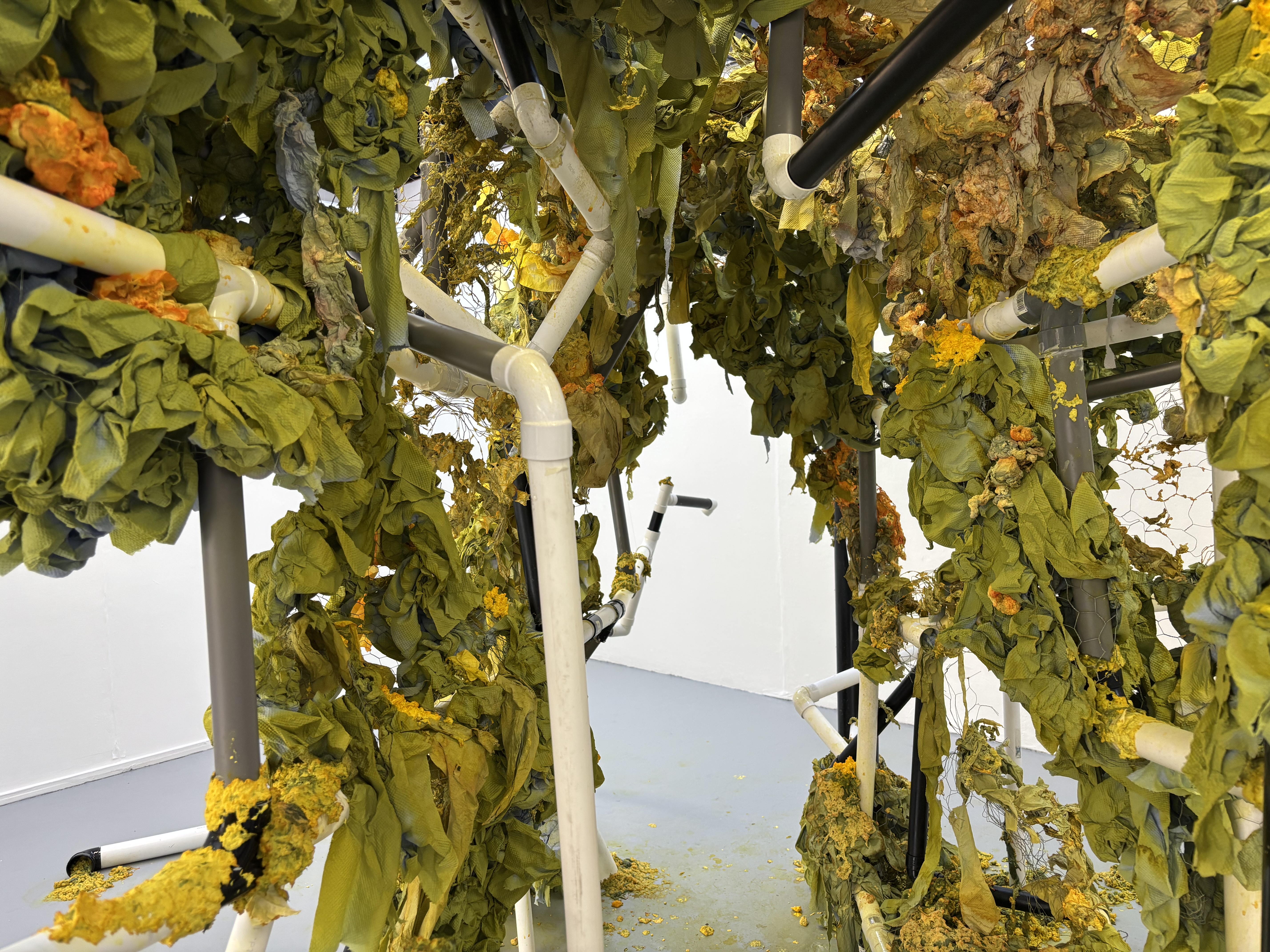 Claudia Oakes-Philpot | Fine Art 3