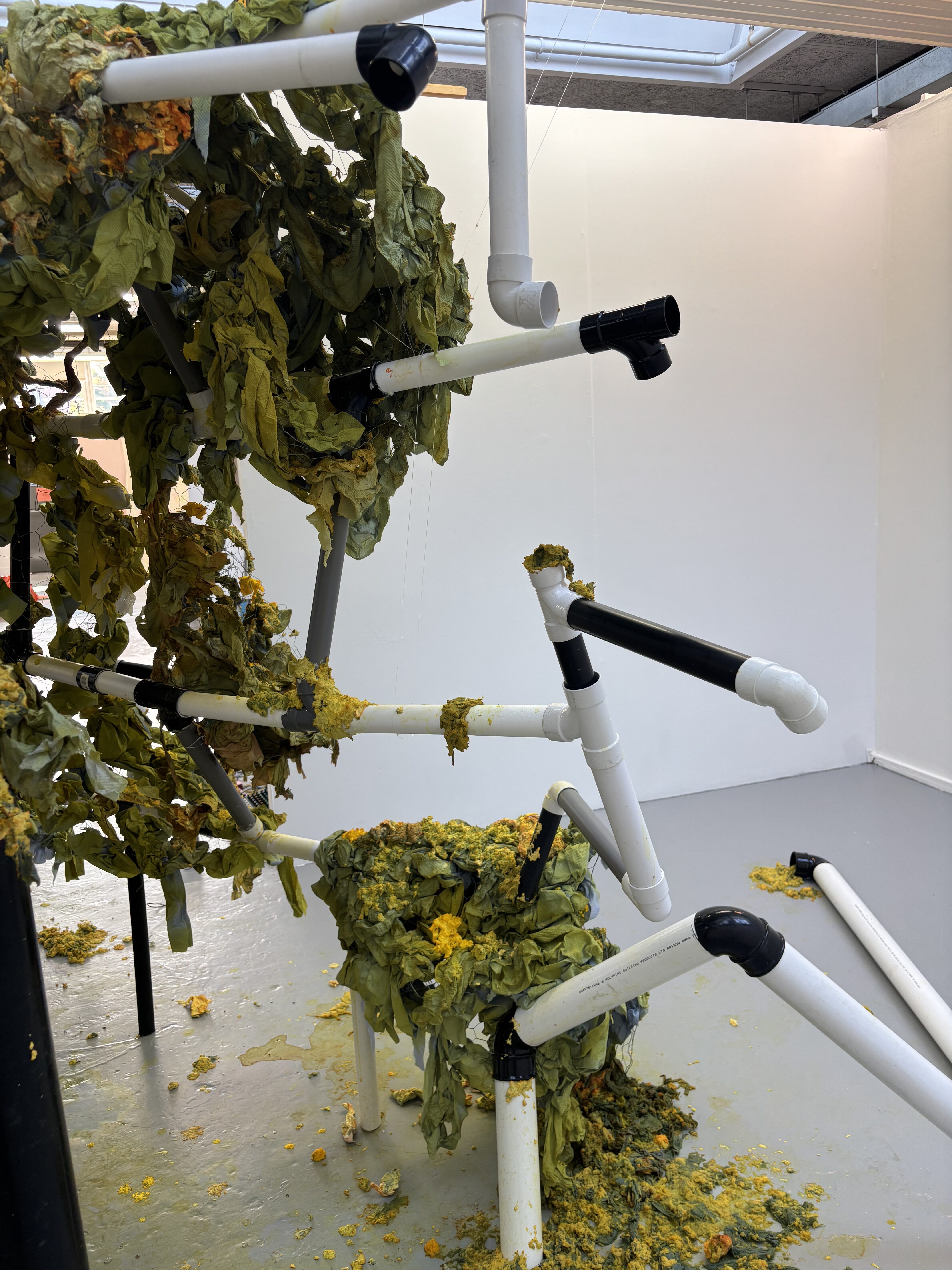 Claudia Oakes-Philpot | Fine Art 1