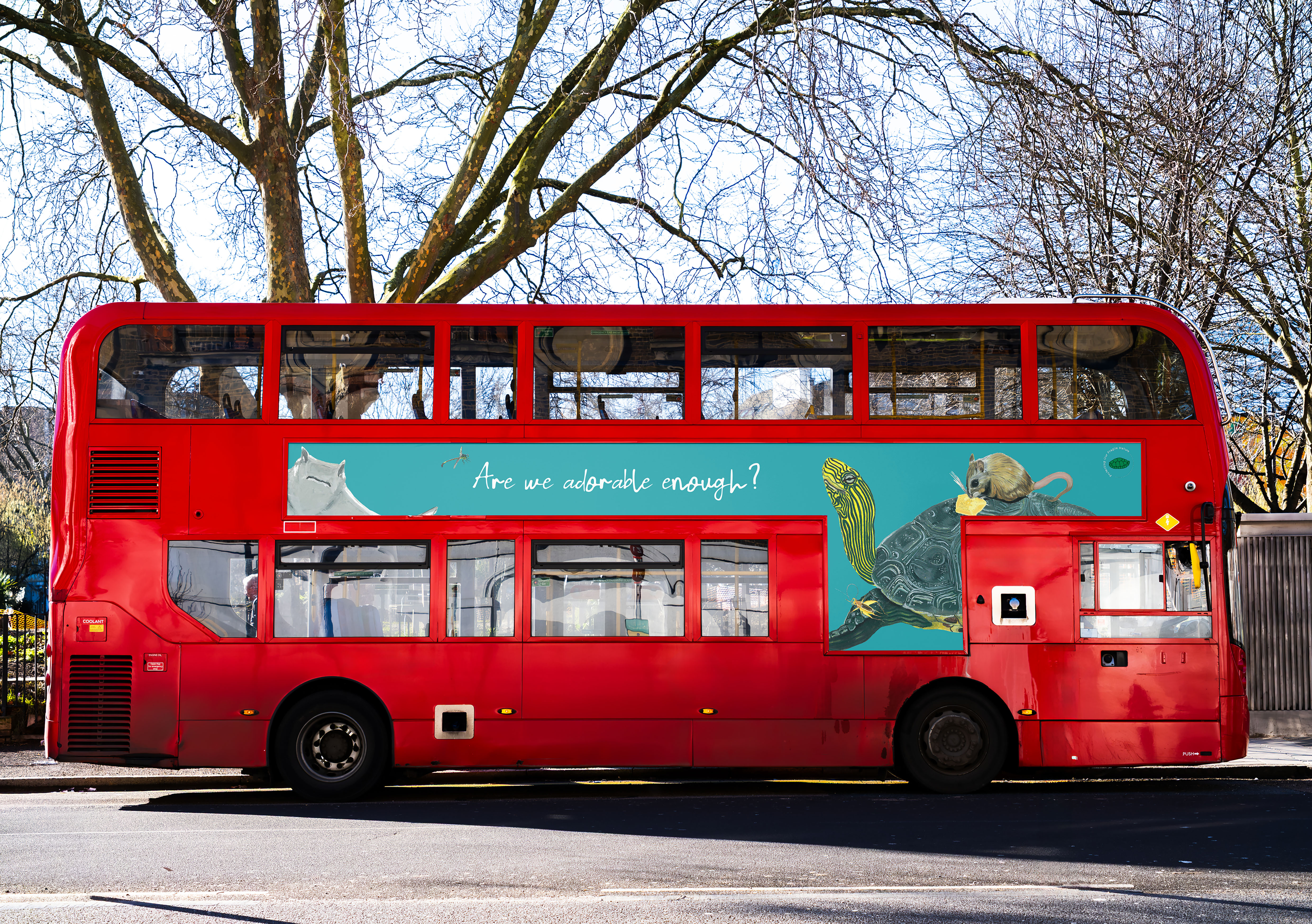 Agnieszka Serek | Graphic Design 1