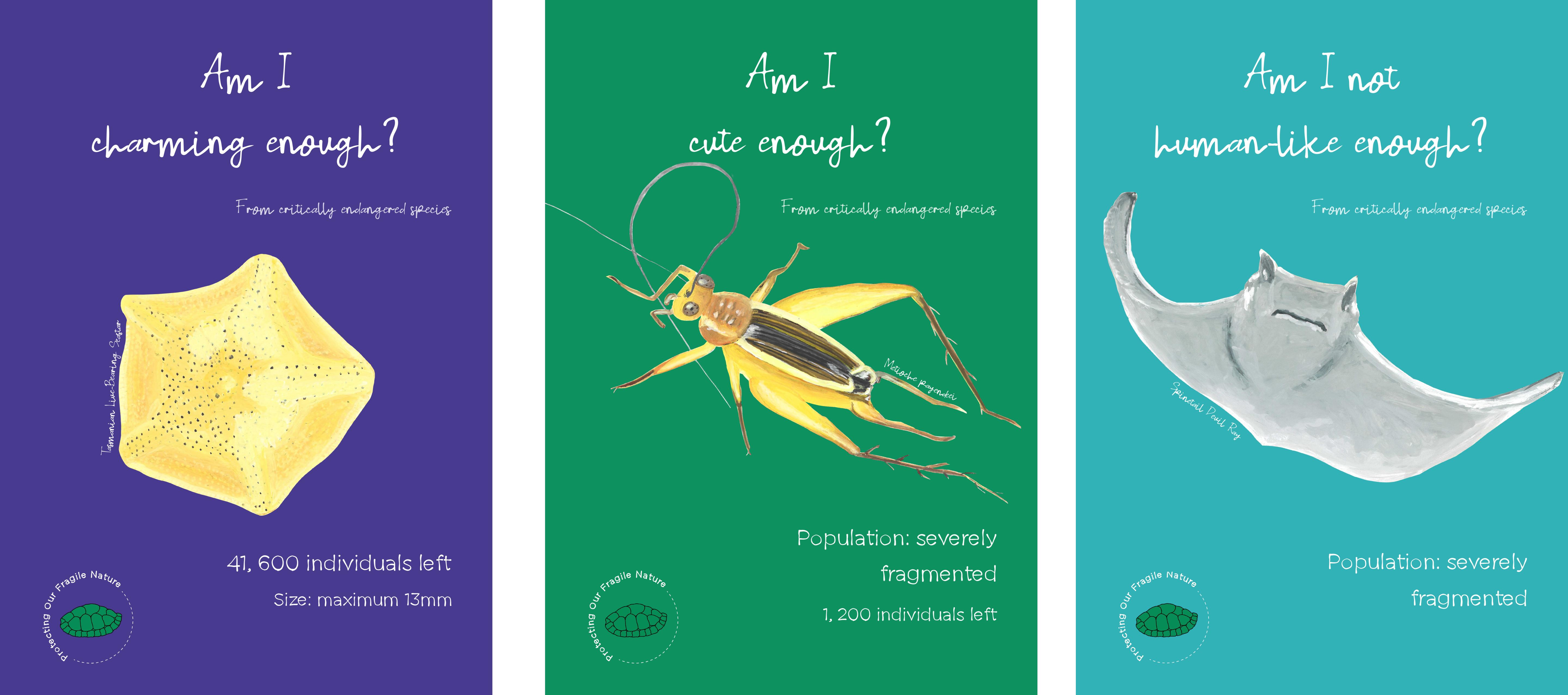 Agnieszka Serek | Graphic Design 4