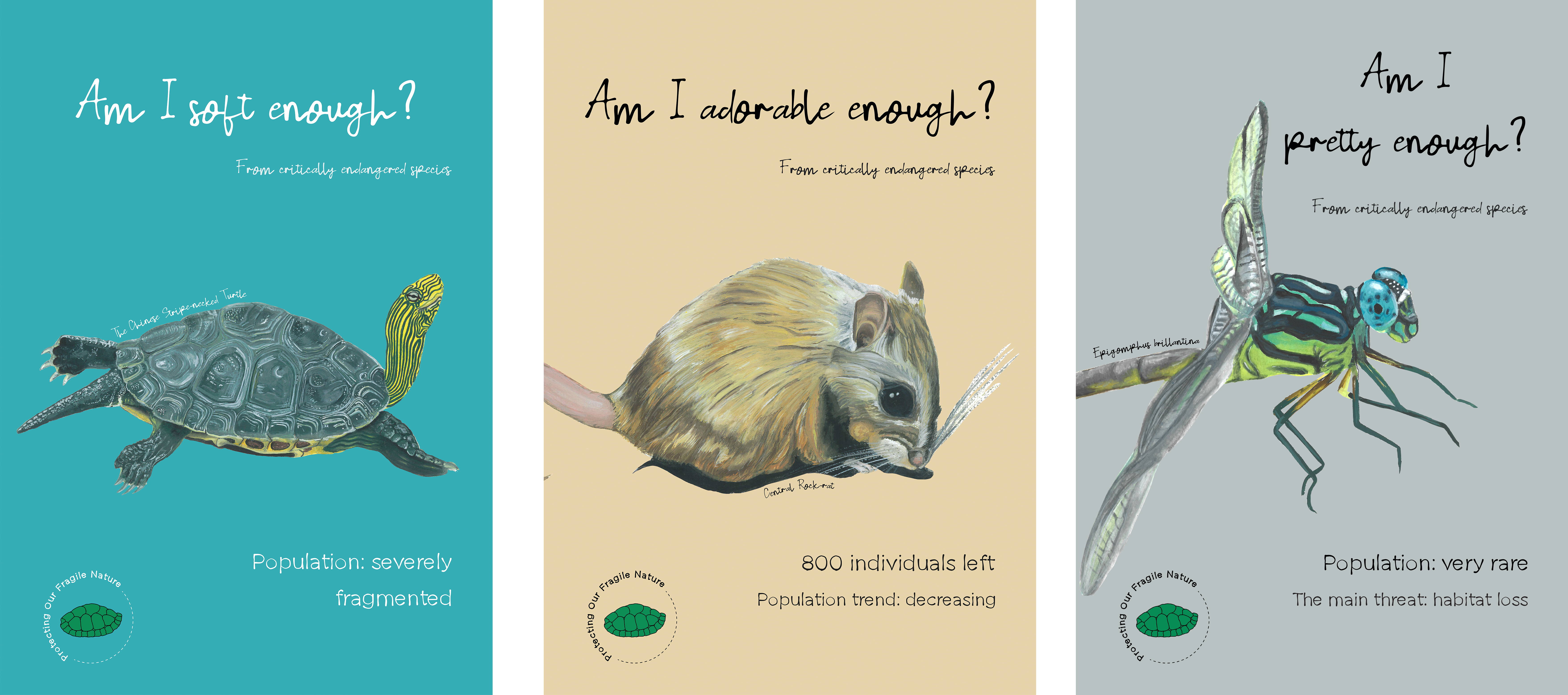 Agnieszka Serek | Graphic Design 5