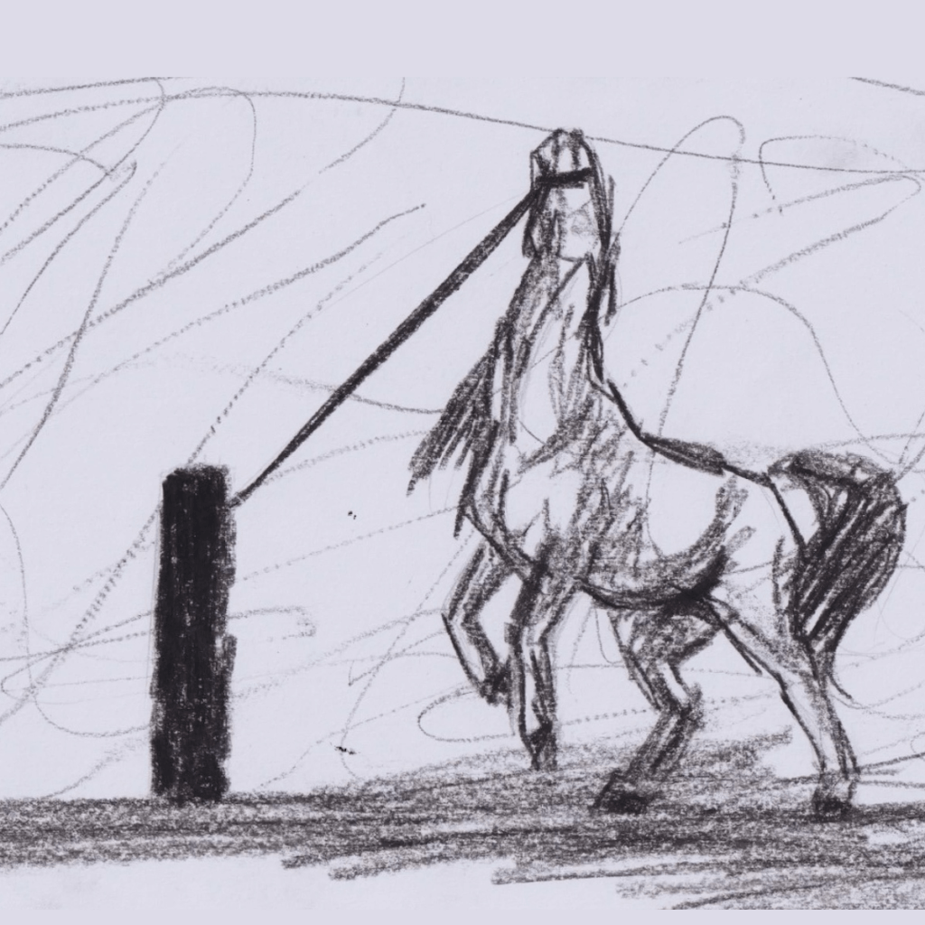 Myra Sethi | Animation