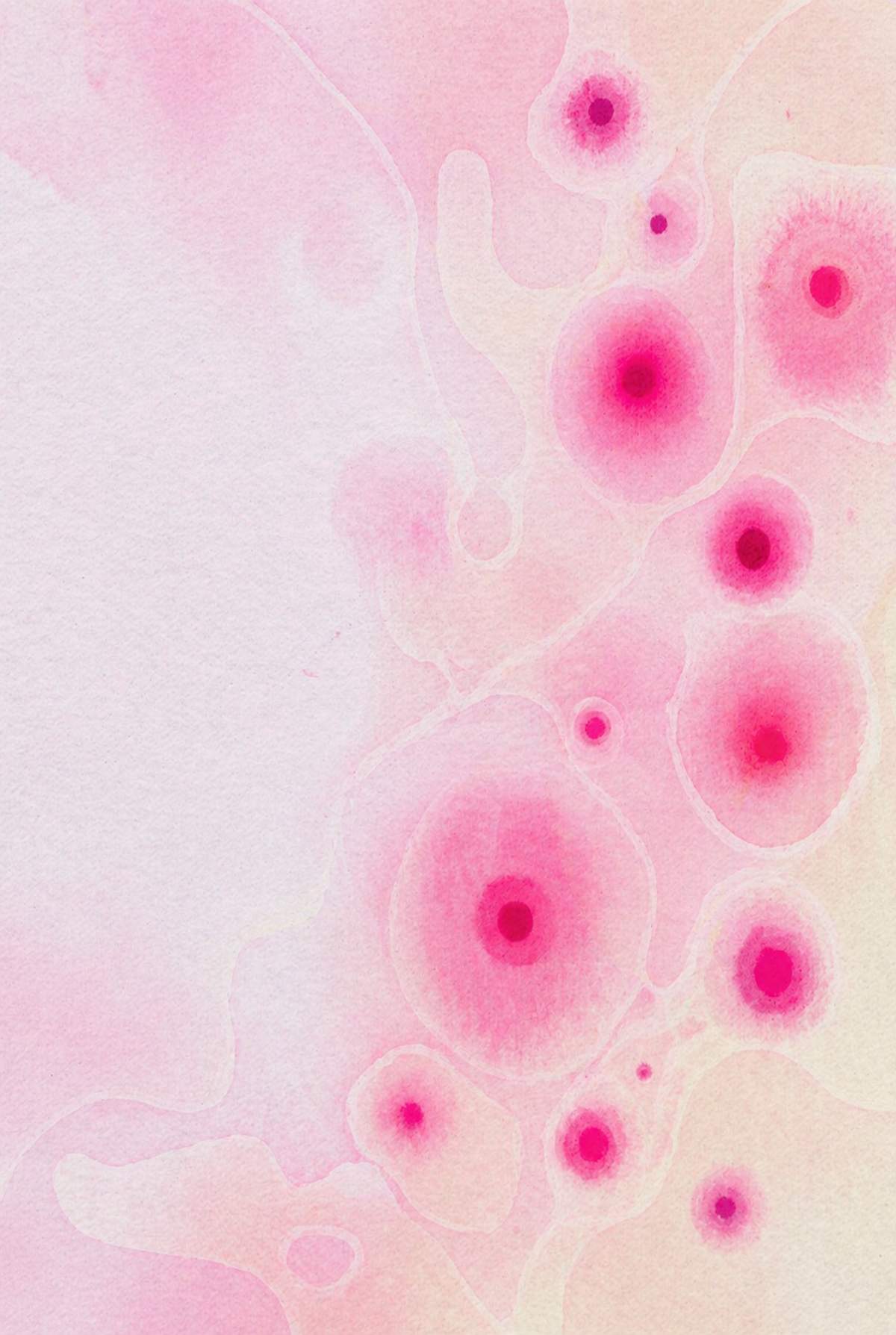 Xinyi Ding | Illustration 1