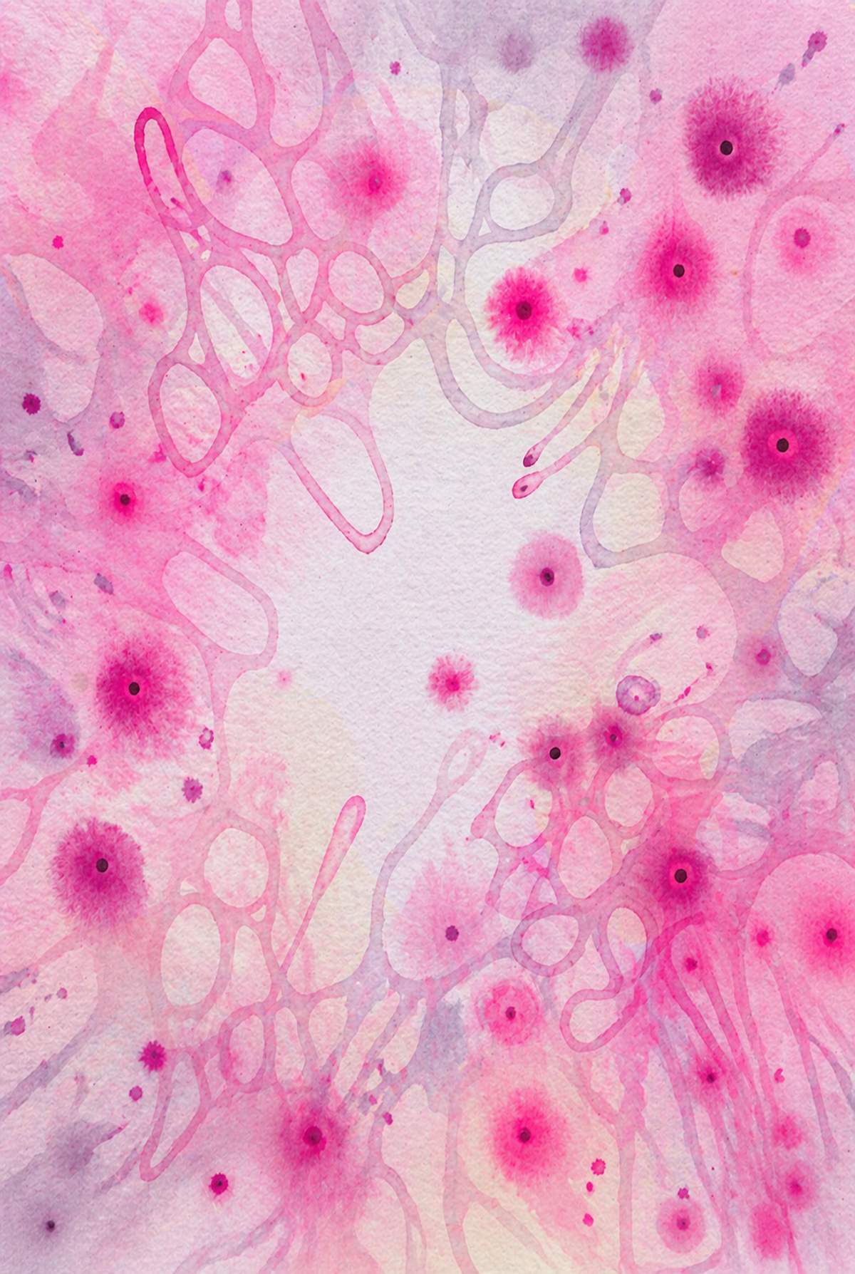 Xinyi Ding | Illustration 2