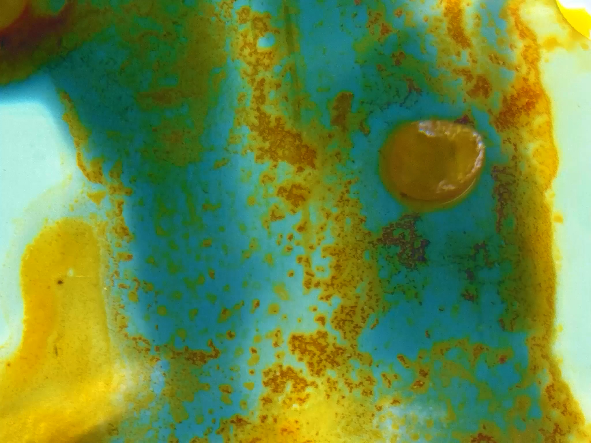 Sandy Eames | Fine Art 1
