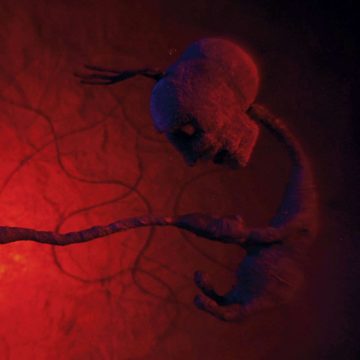 George Cook | Animation 2