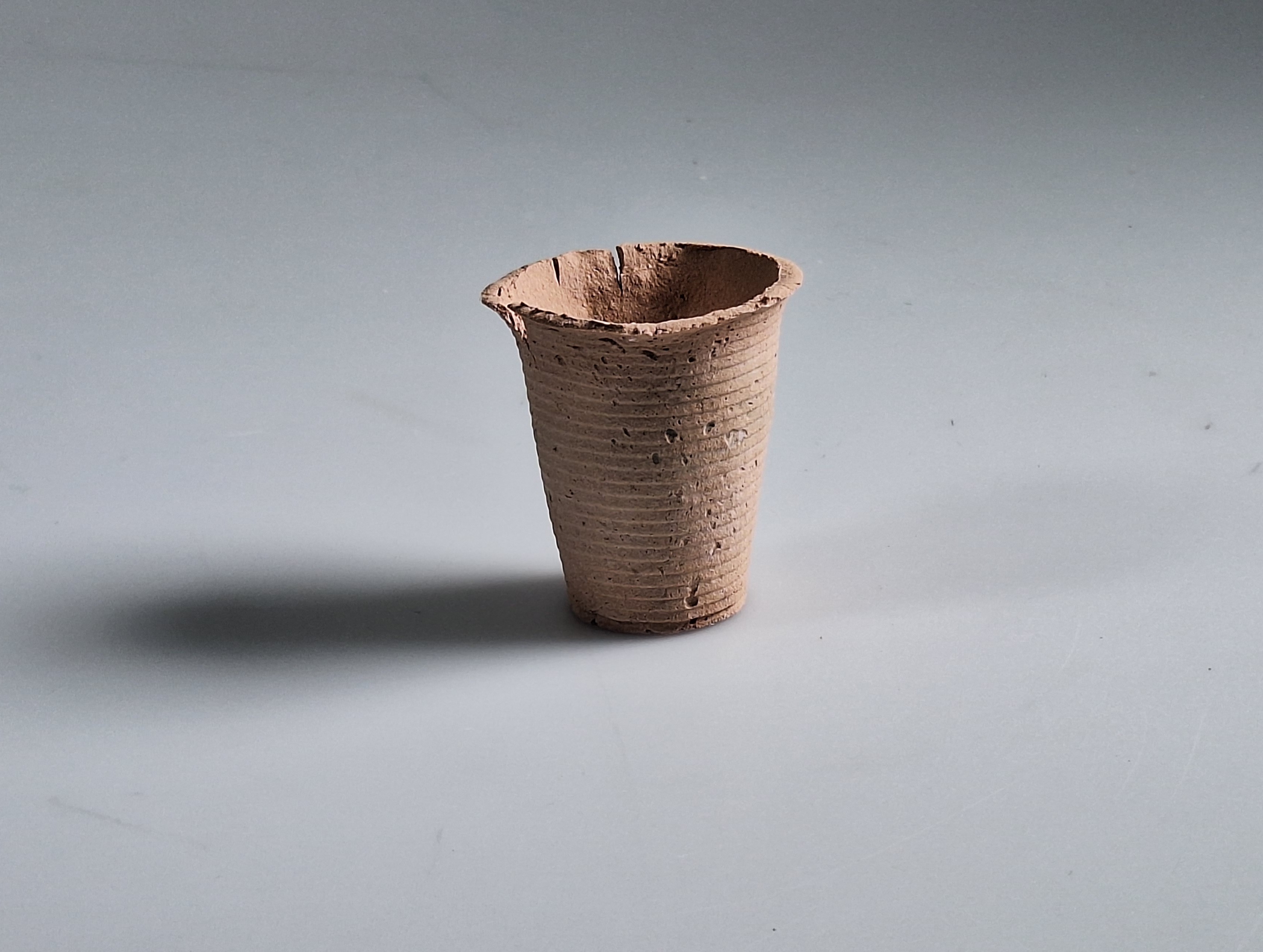Anthony Lam | Product Design 4