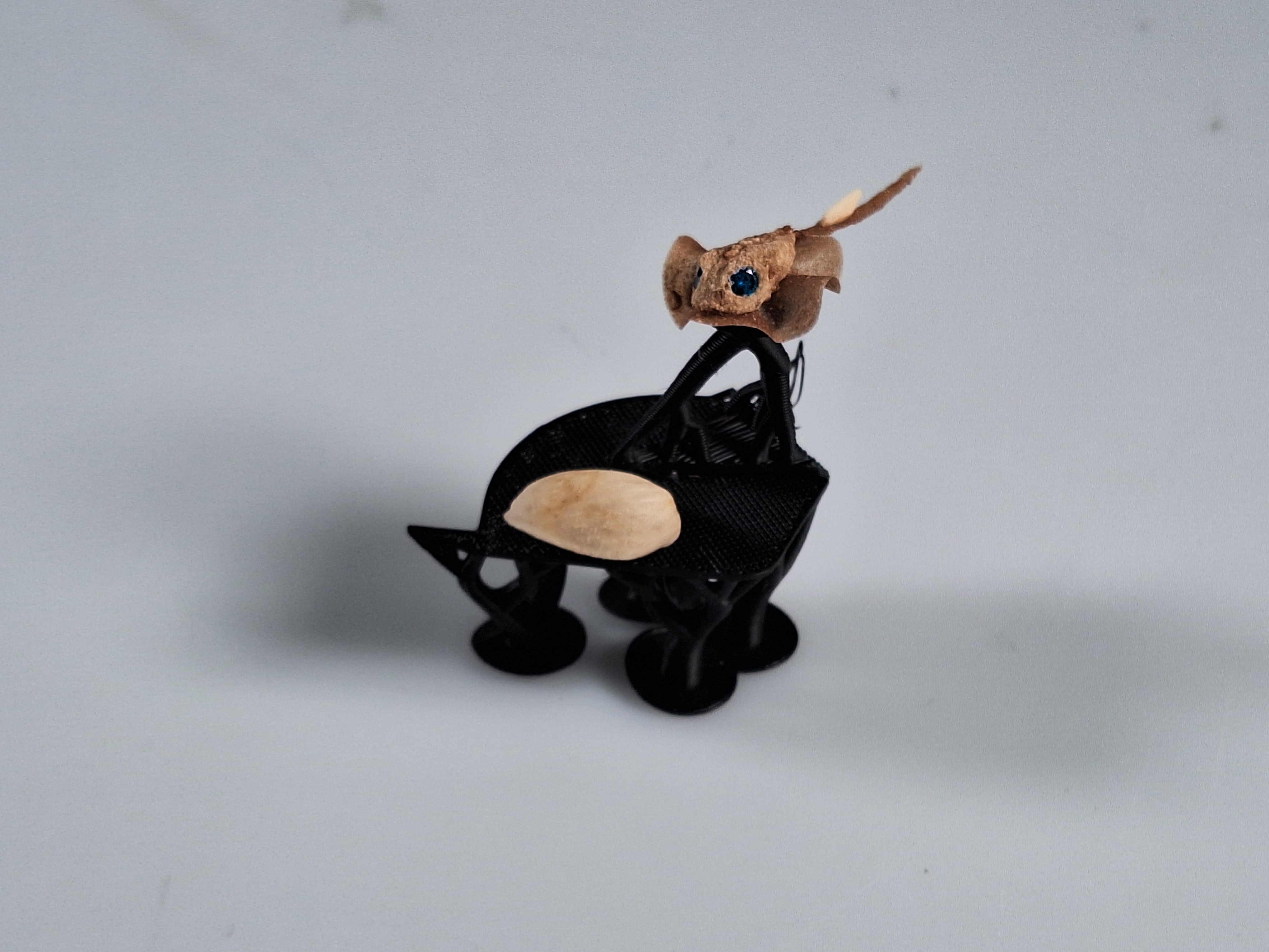 Anthony Lam | Product Design 1