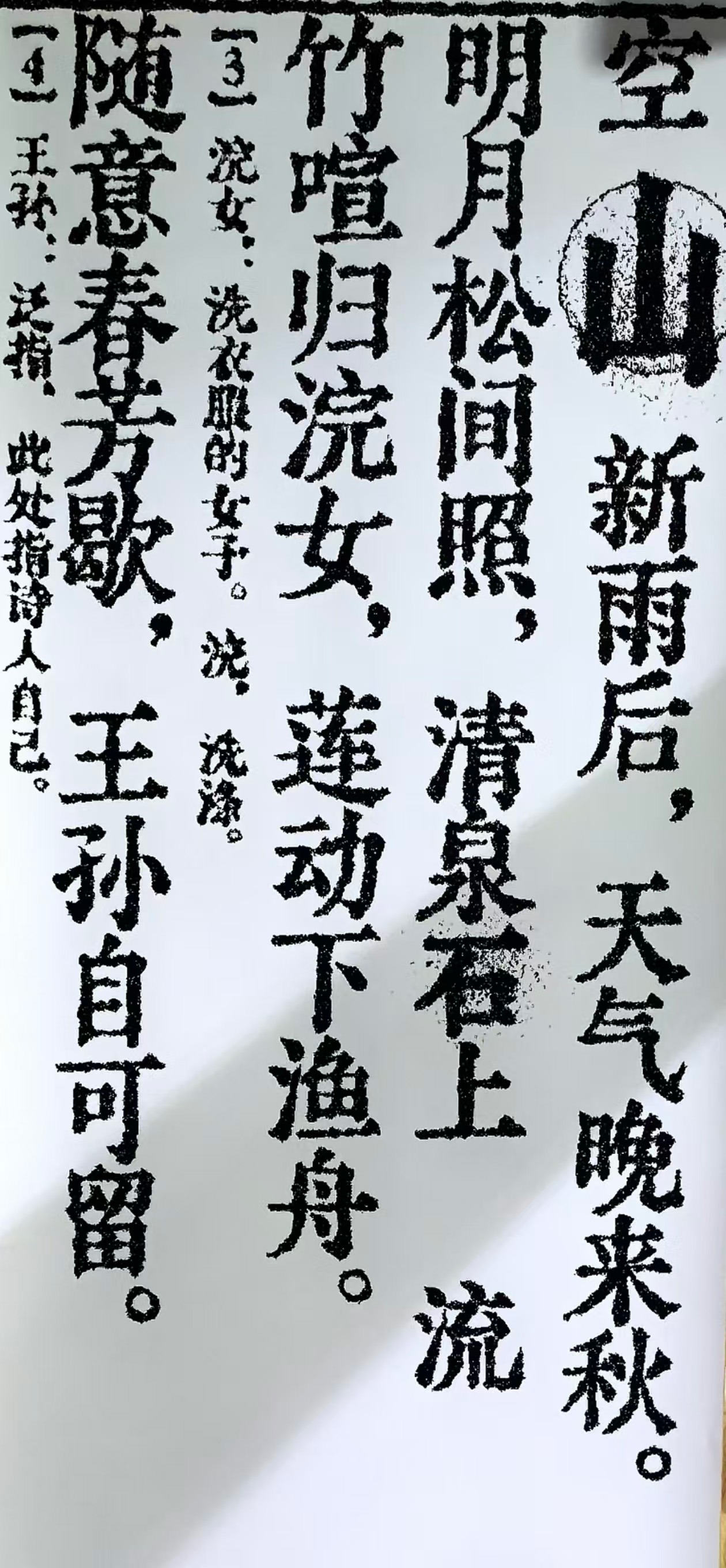 Ziyu Yin | Graphic Design 3