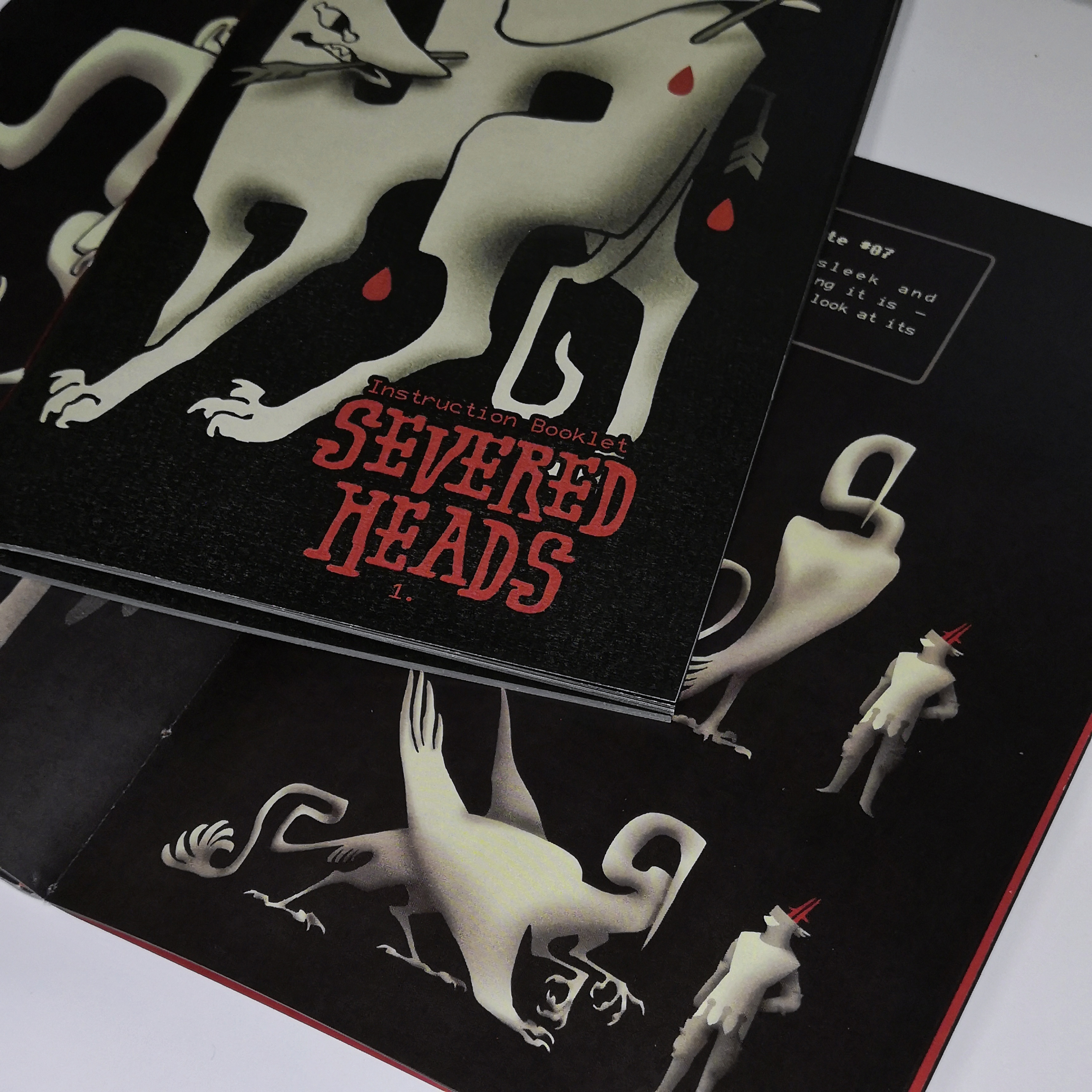 Zhirou Li | Graphic Design 1