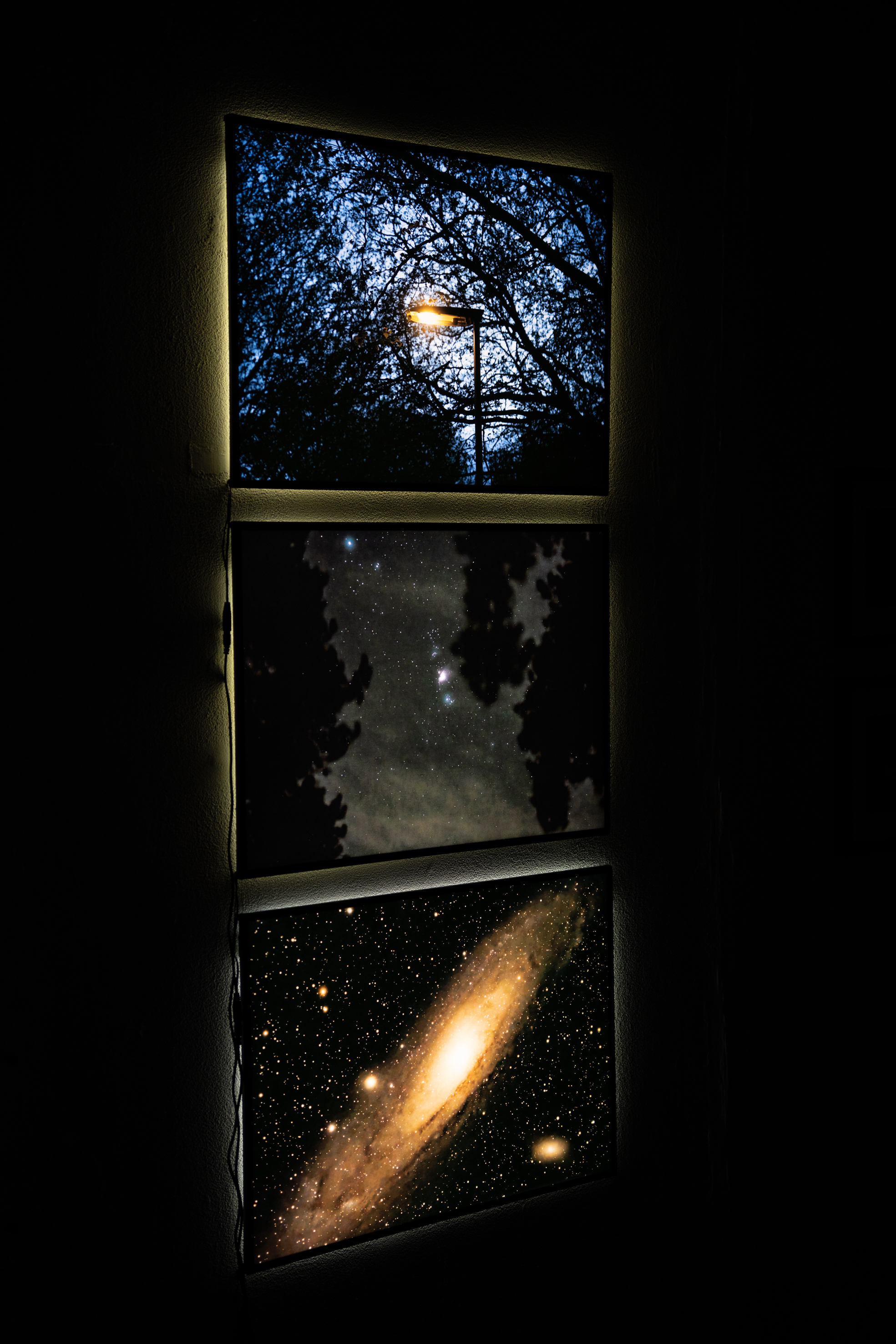 Archie Rice-West | Photography 4