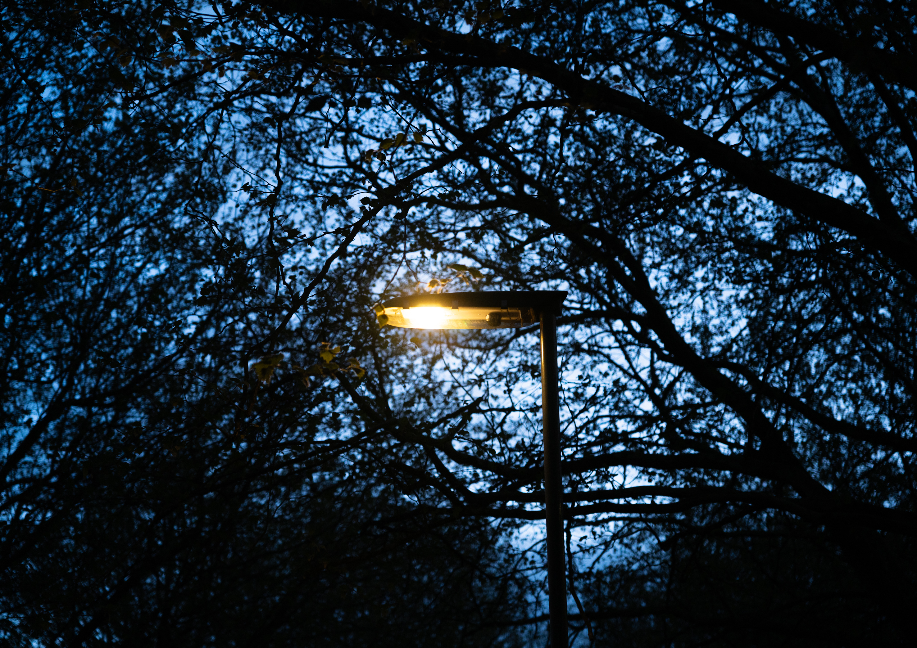 Archie Rice-West | Photography 1