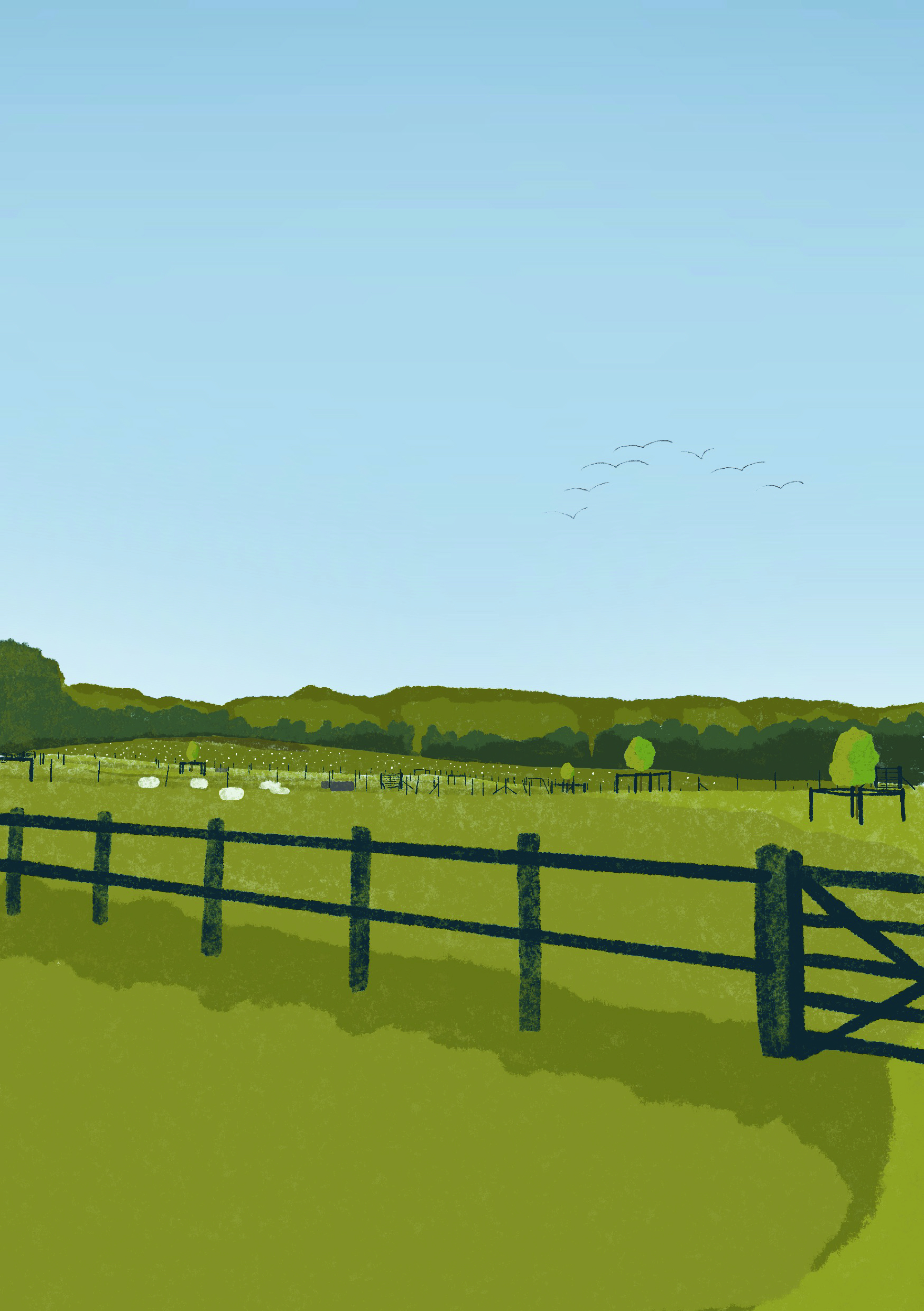Harriet Beadsley | Illustration 4
