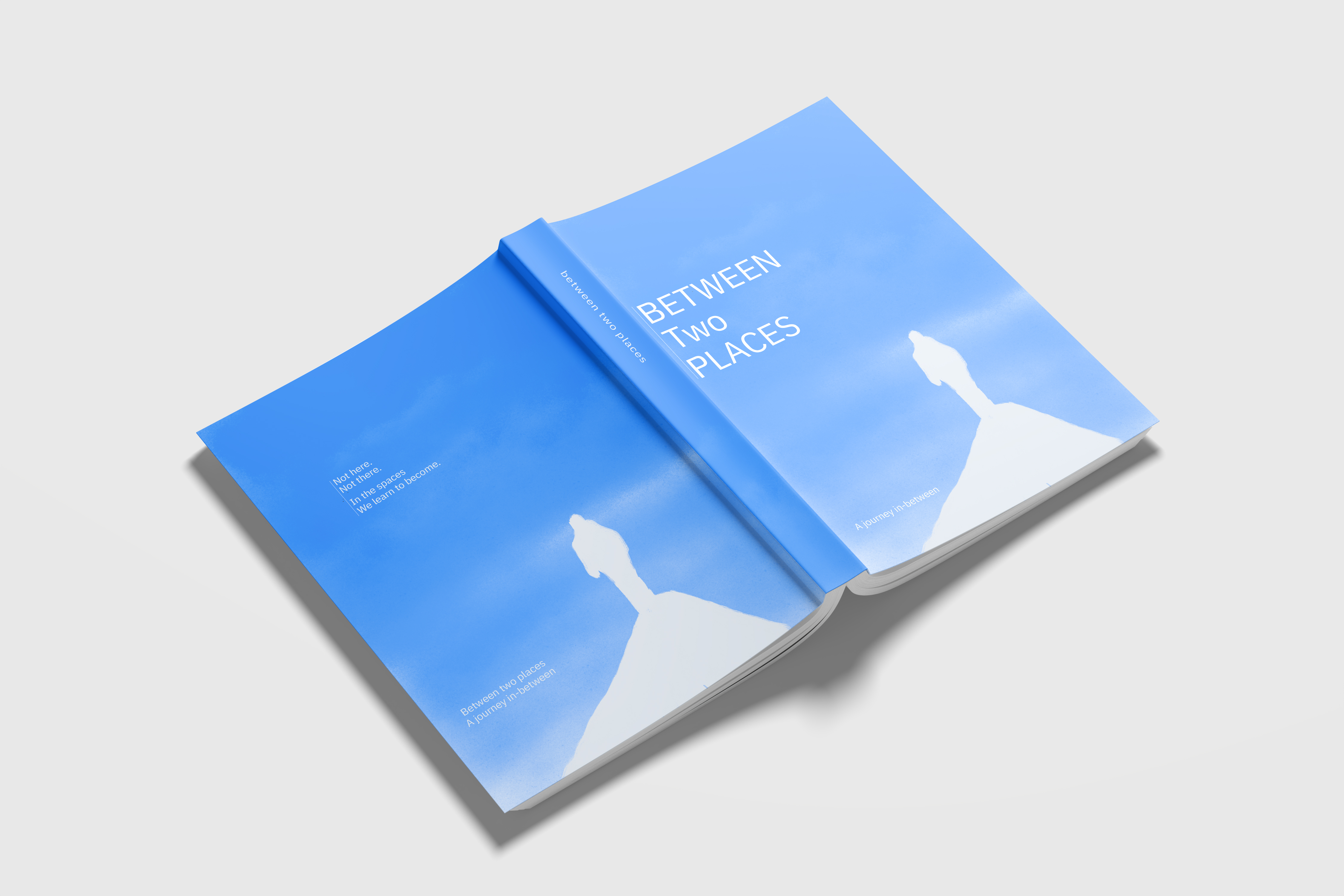 Mirali Bokhiriya | Graphic Design 3