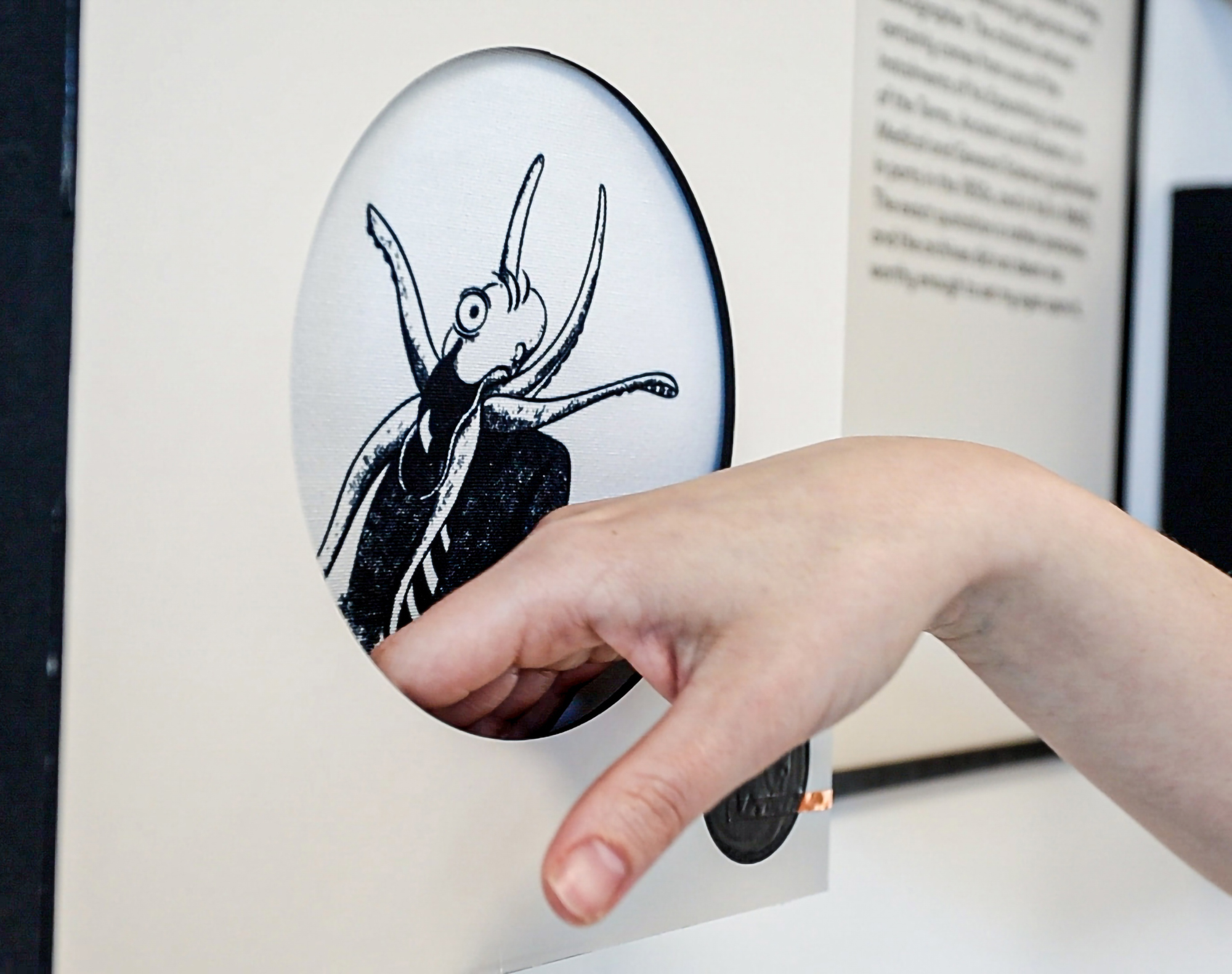 Eszter Novak | Graphic Design 2