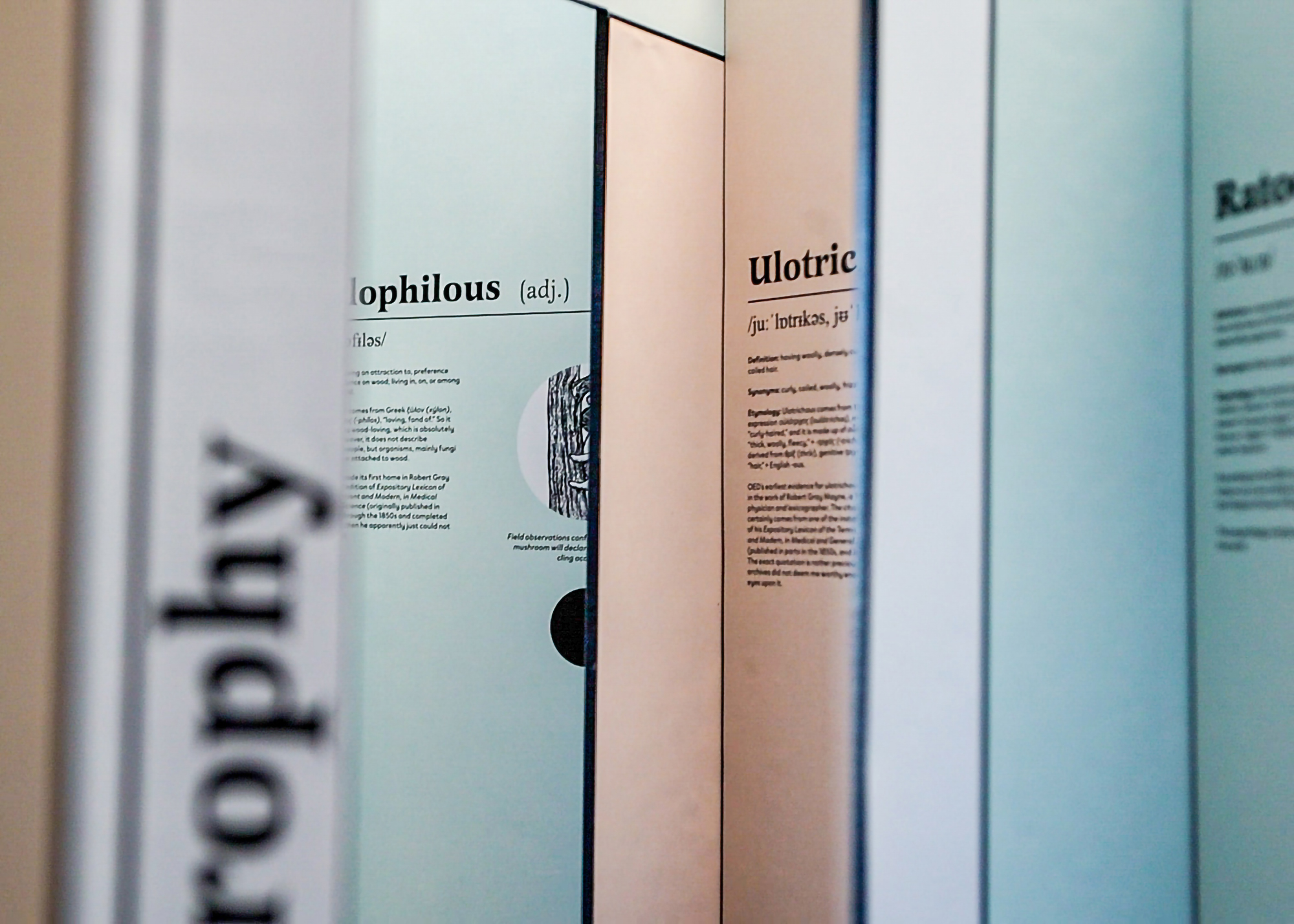 Eszter Novak | Graphic Design