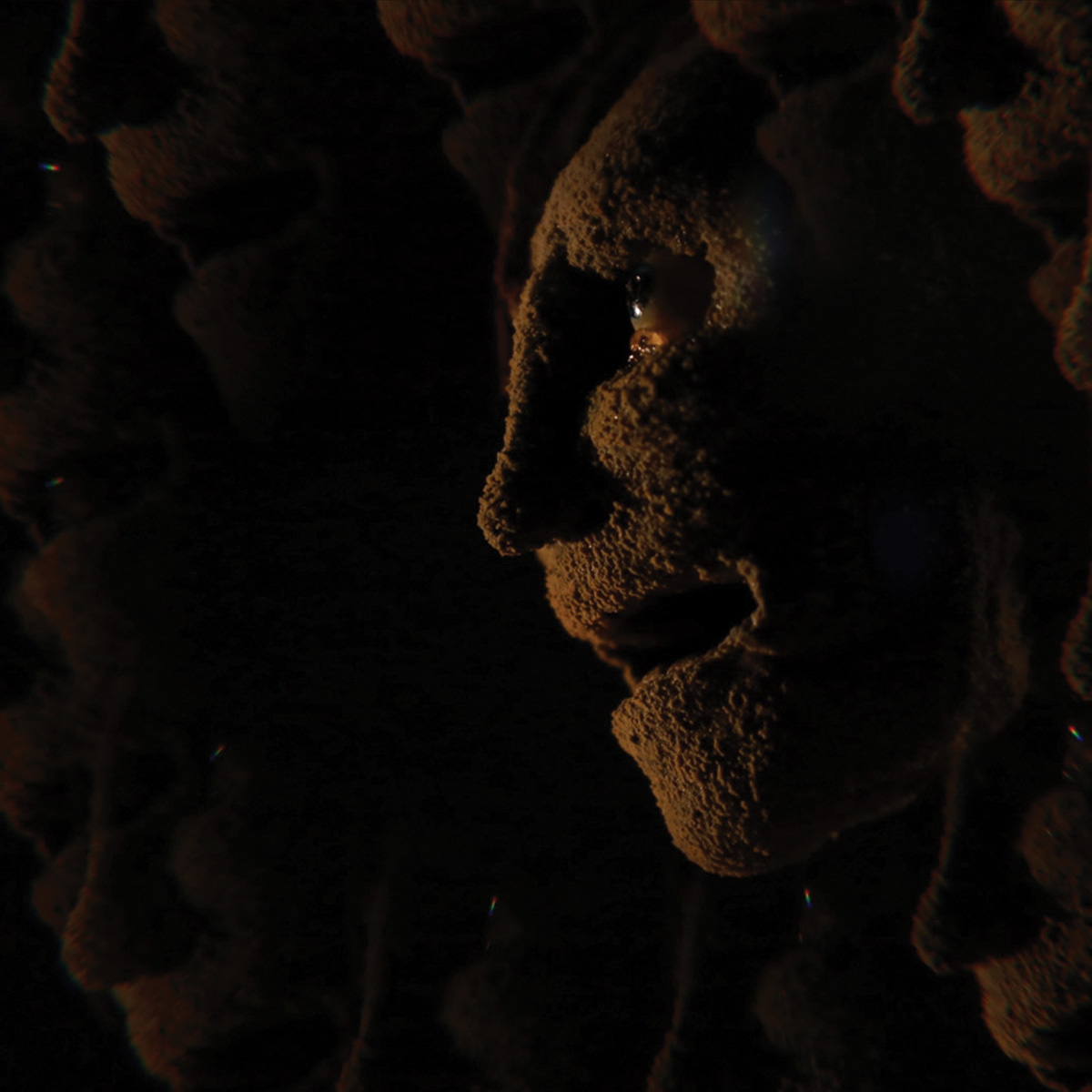George Cook | Animation 1