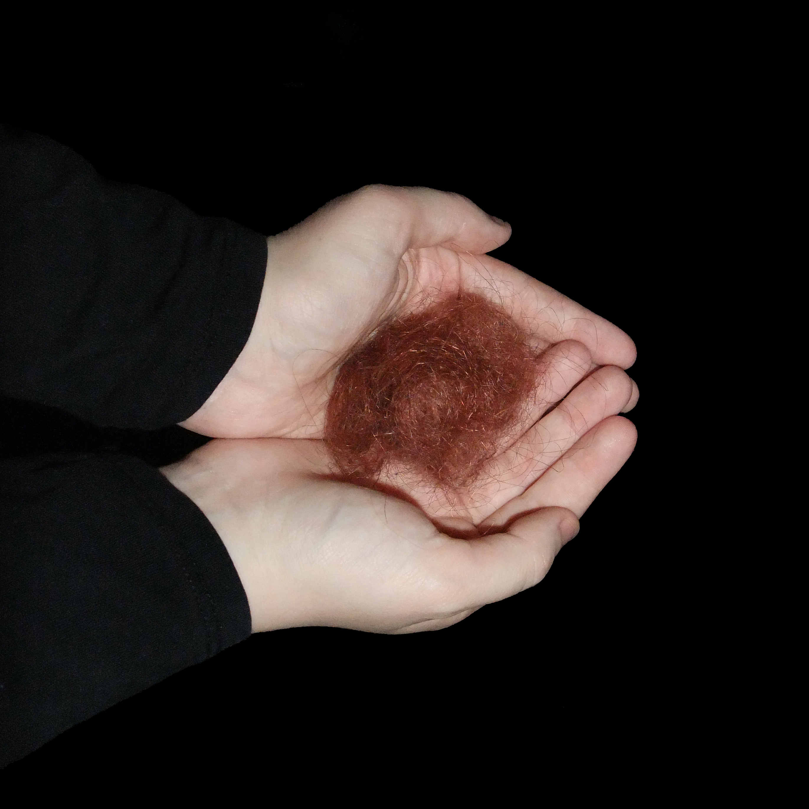 Katya Taylor | Photography 6