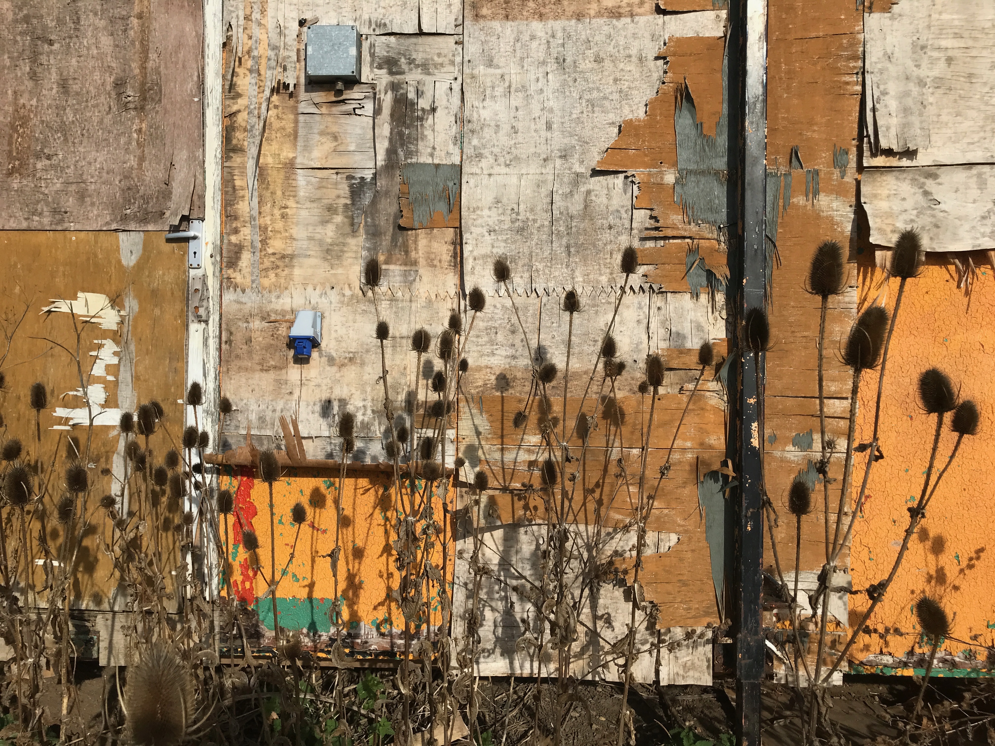 Christopher Little | Fine Art 11