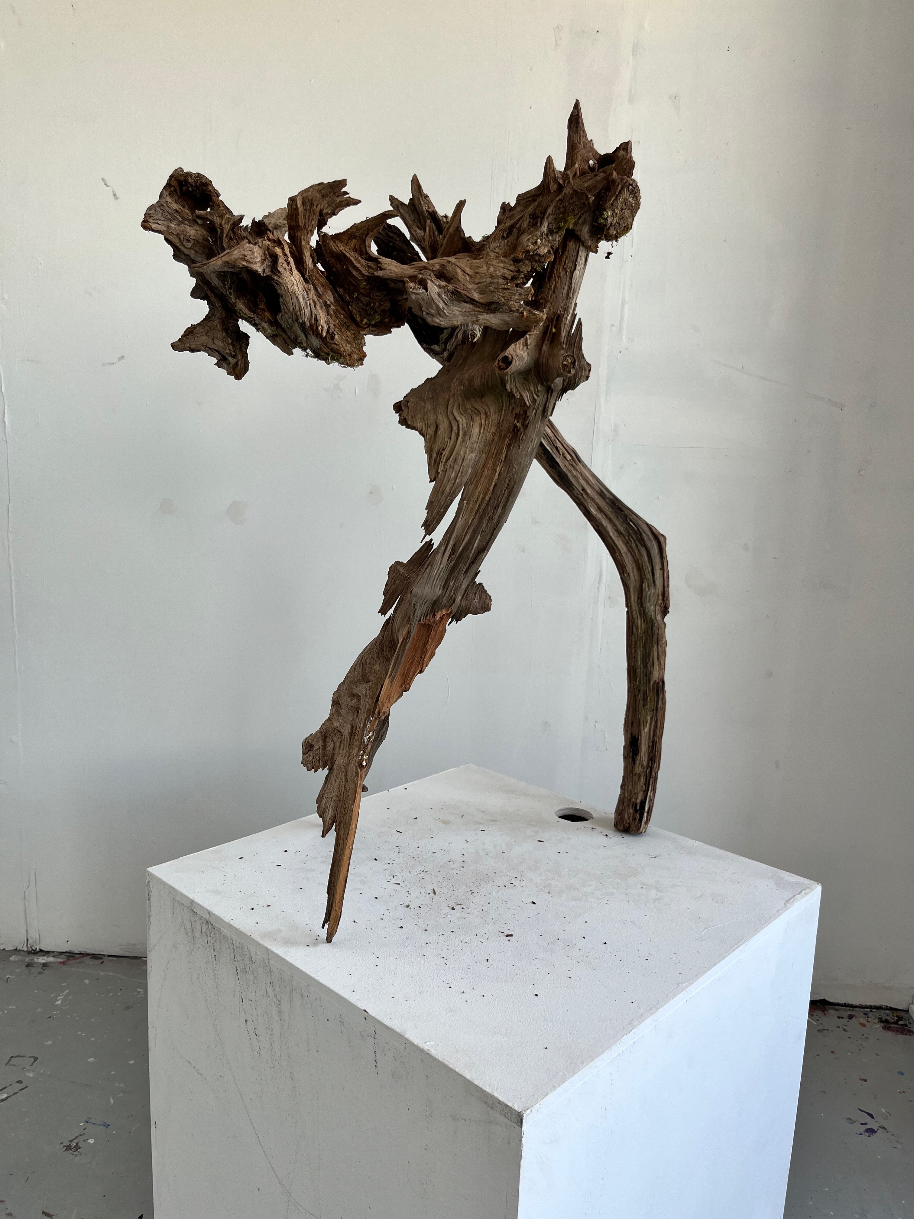 Christopher Little | Fine Art 8