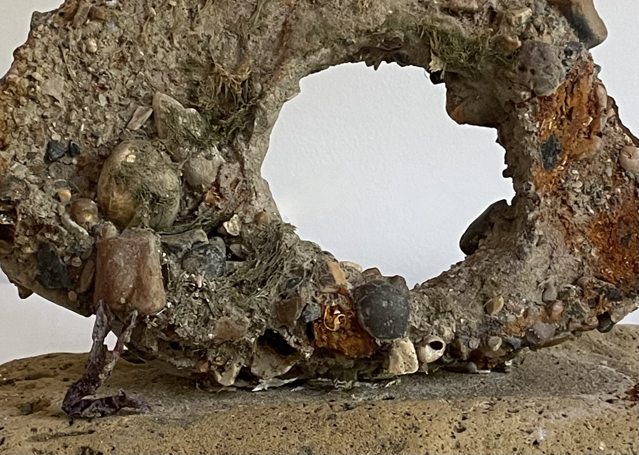 Sue Cavanagh | Fine Art 4