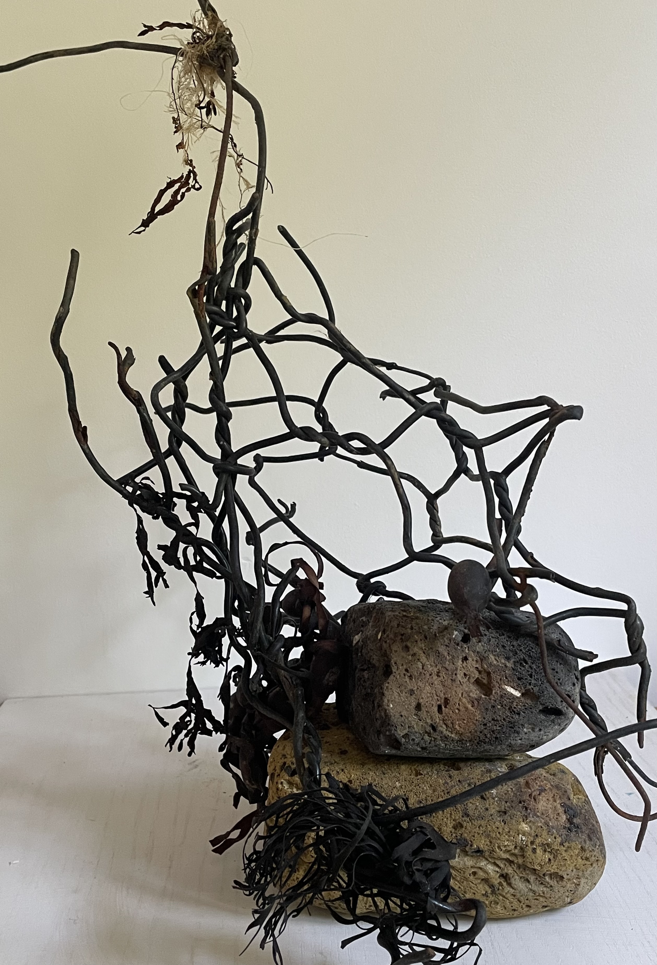 Sue Cavanagh | Fine Art