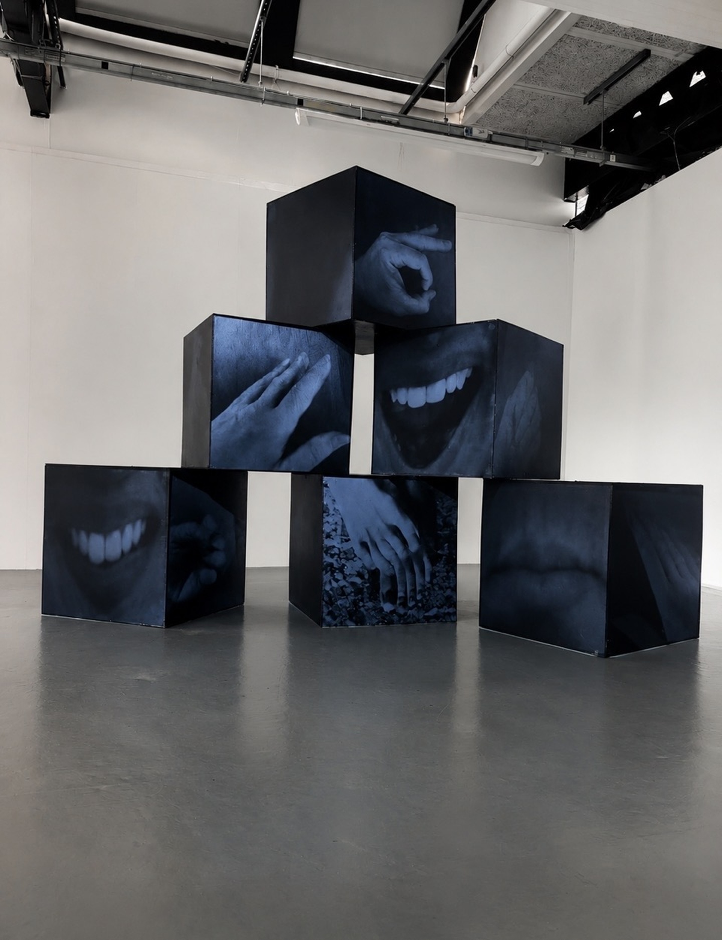 Susie Bearman | Fine Art 1