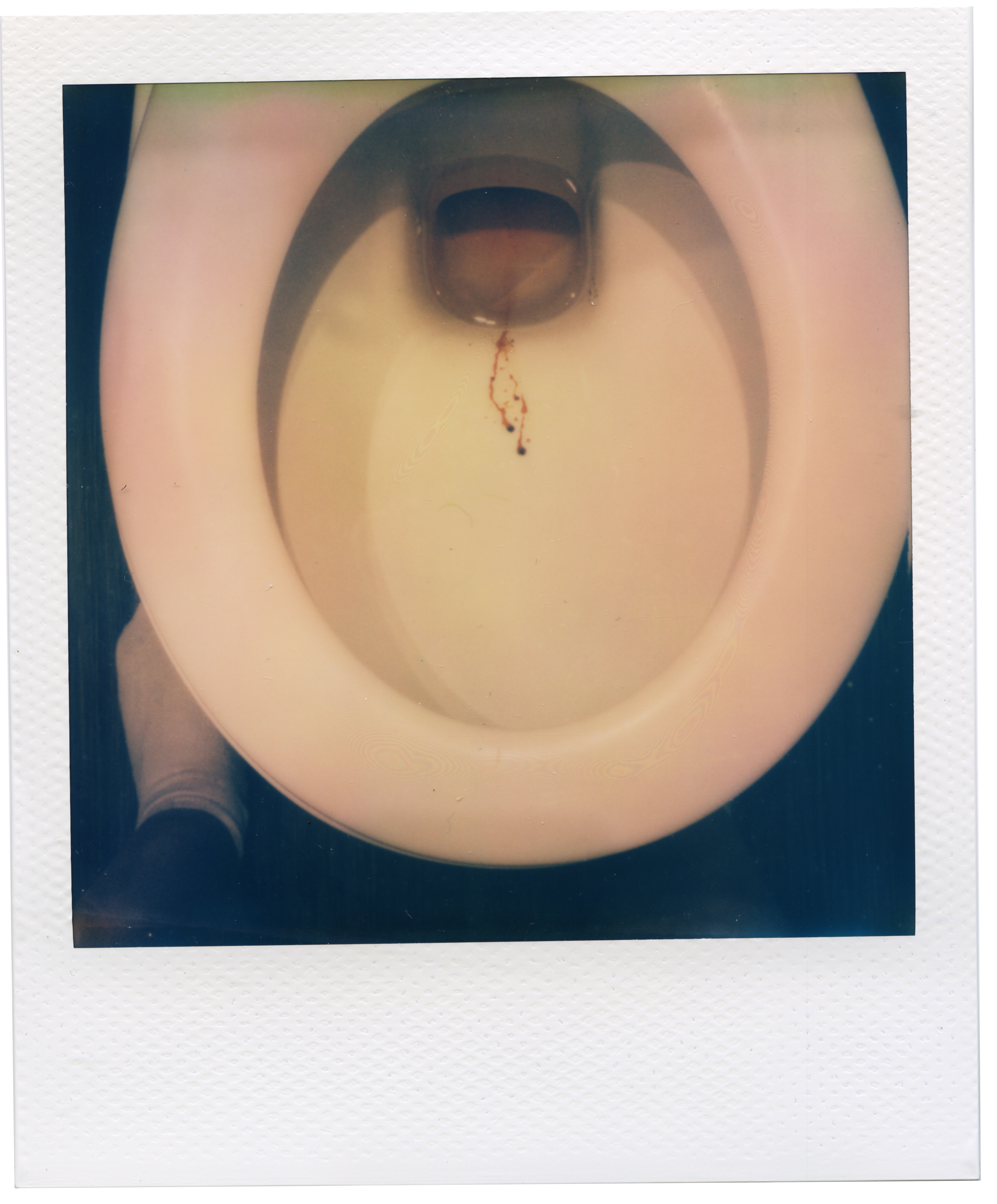 Eve Williams | Photography 6