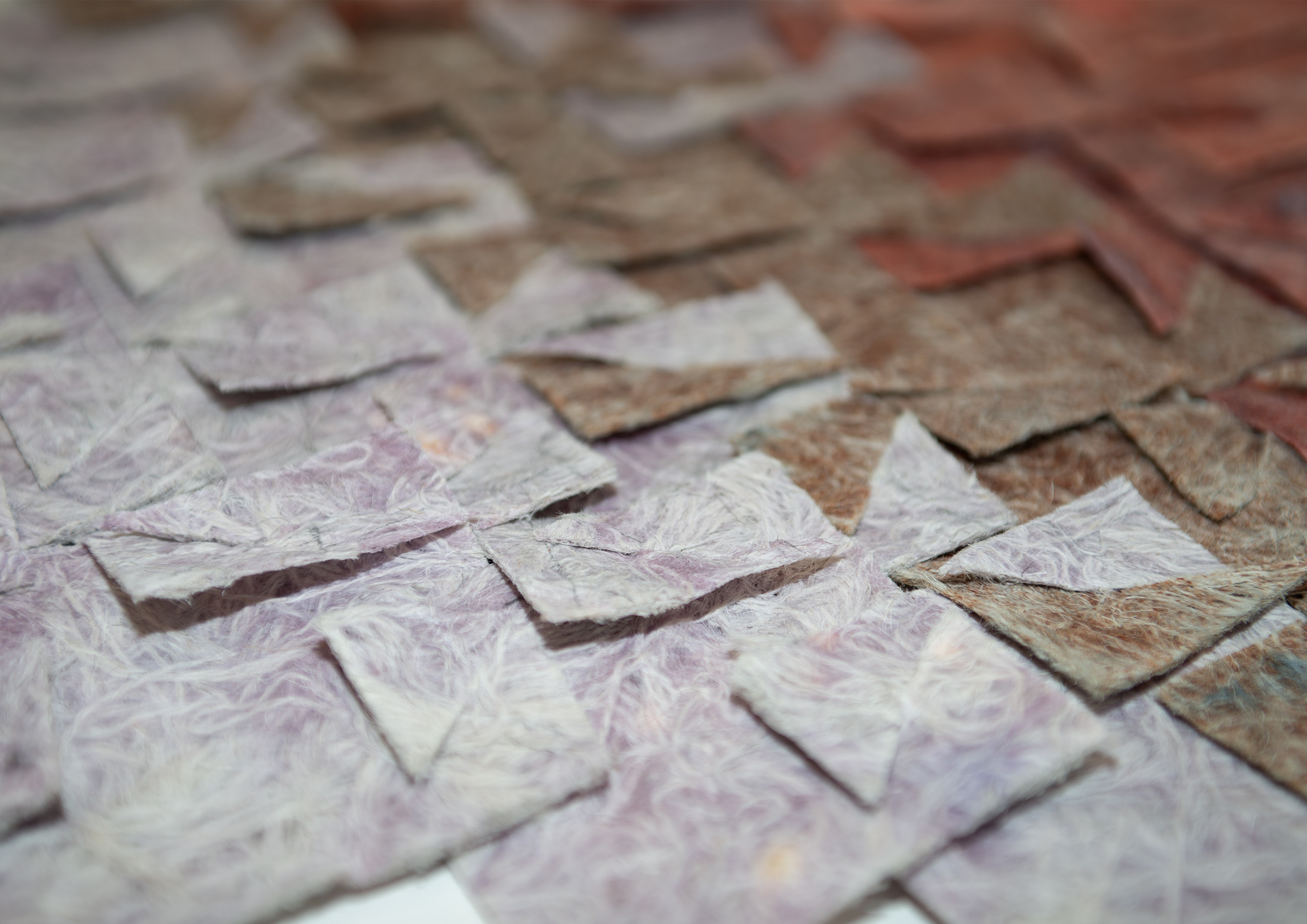 Varsha Sudarshan Ananda | Fashion & Textiles