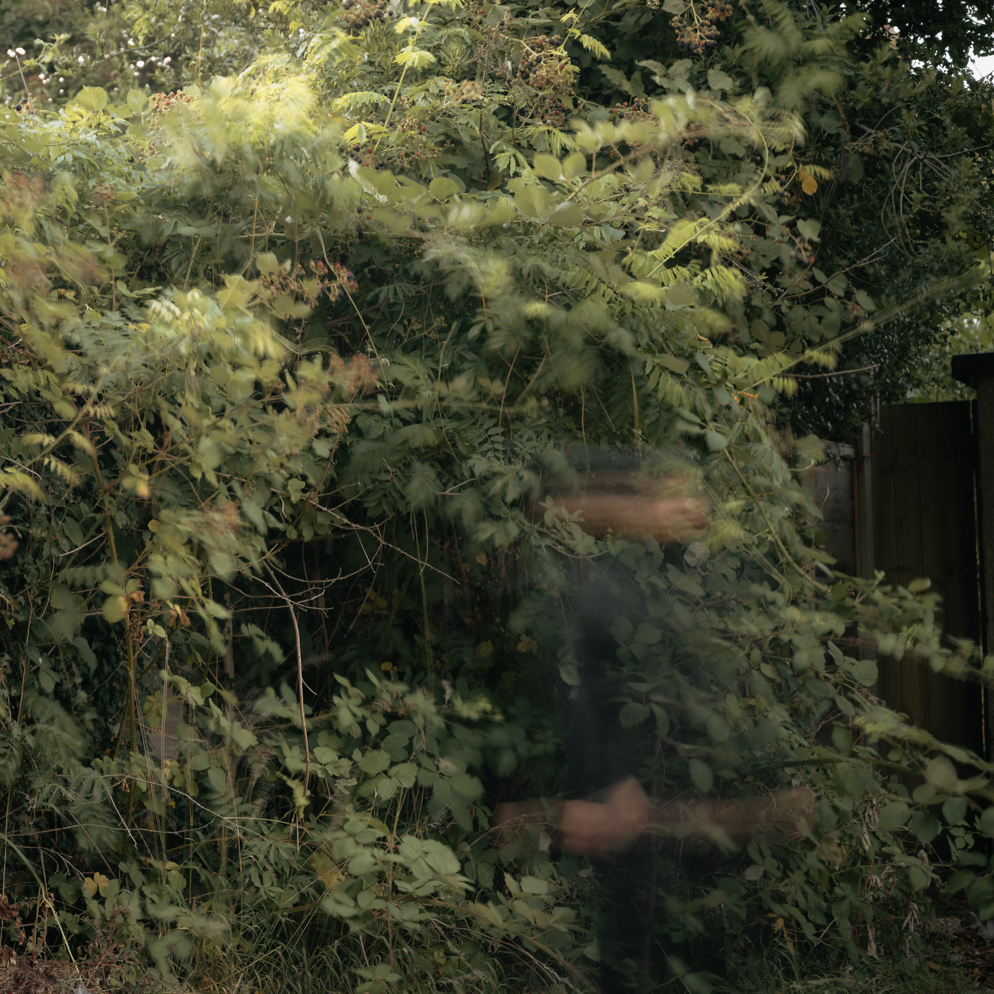 Laiba Anjum | Photography 5