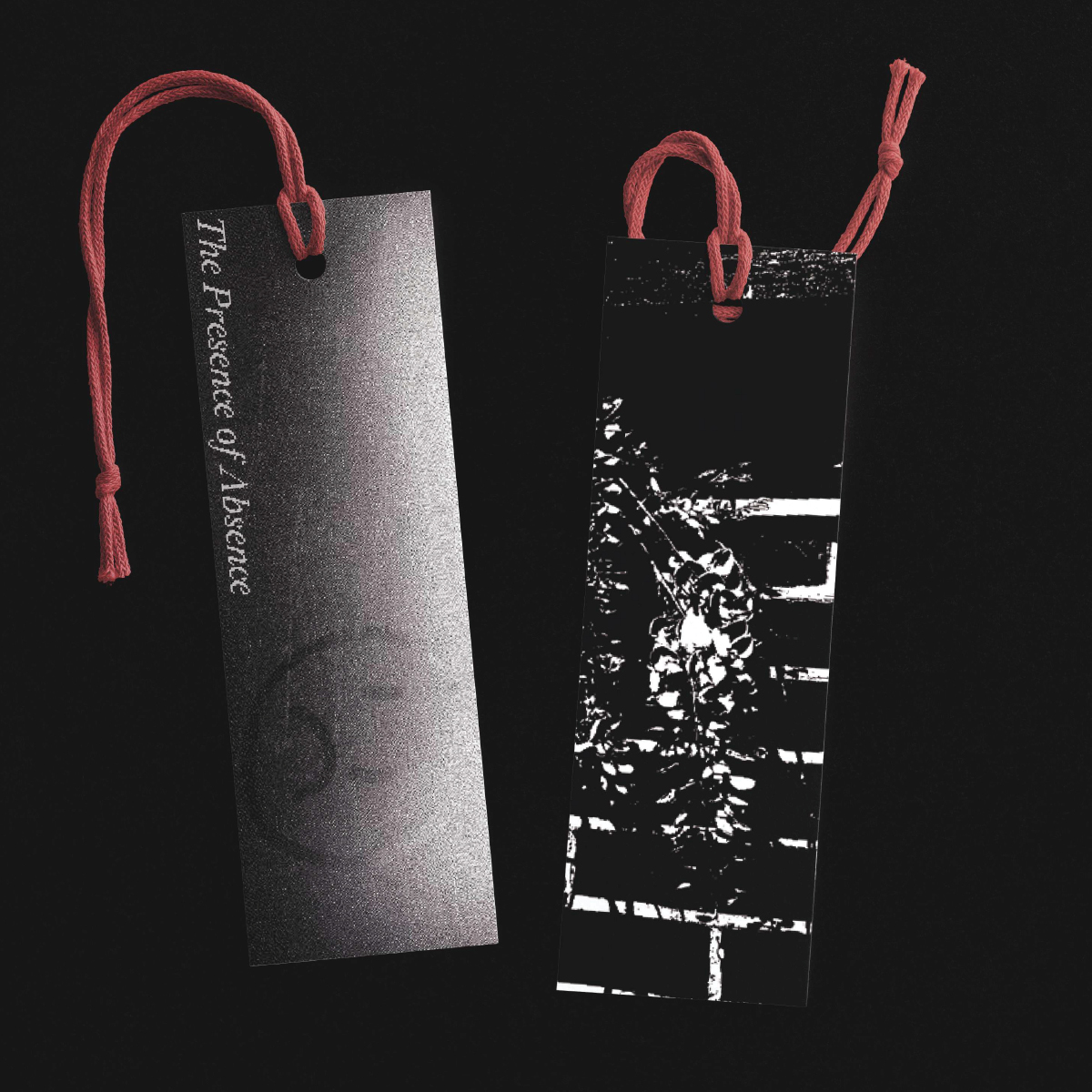 Sab Gheriani | Graphic Design 3